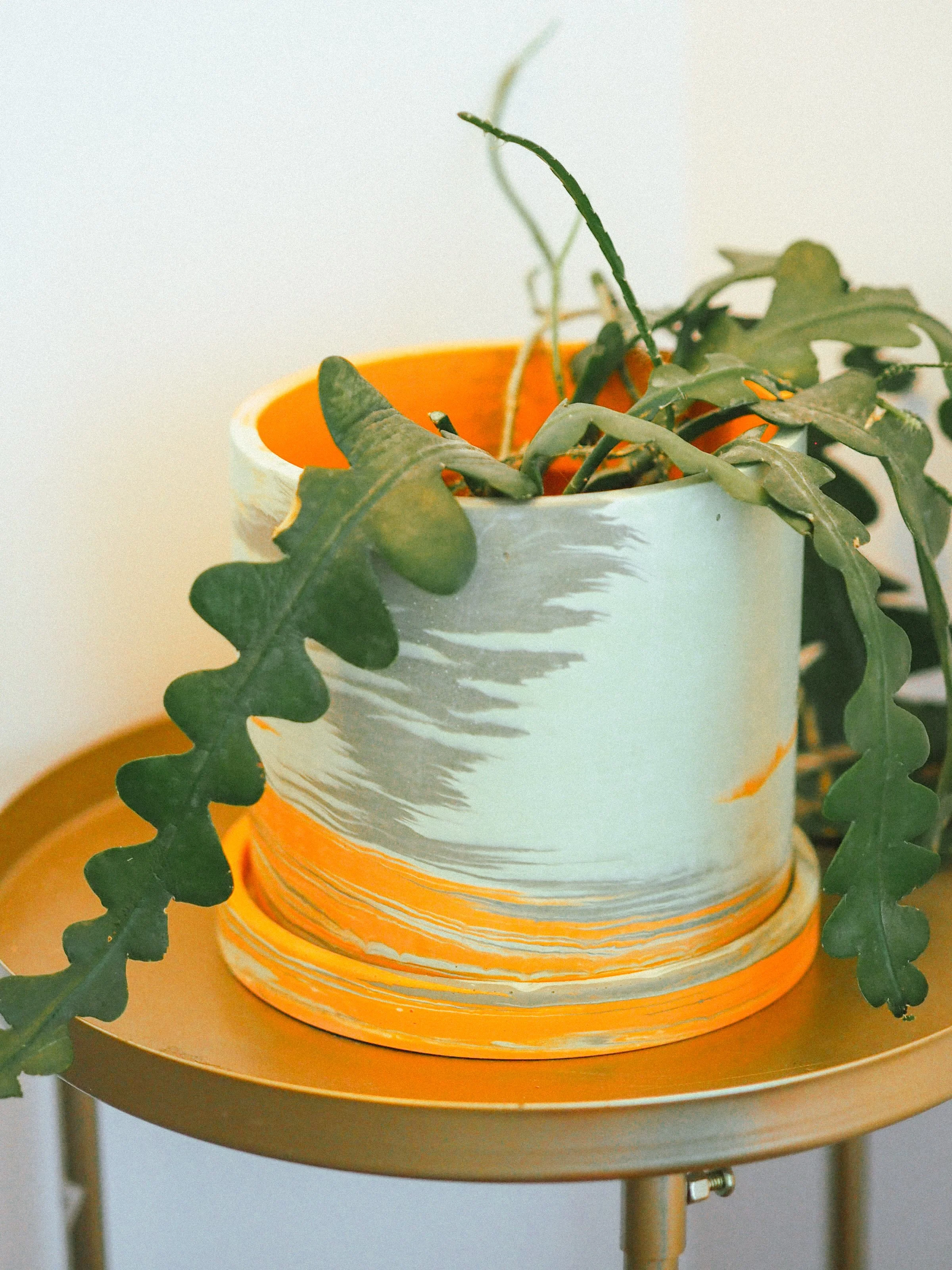 Studio Dawn Happy Home Decor-280.jpg