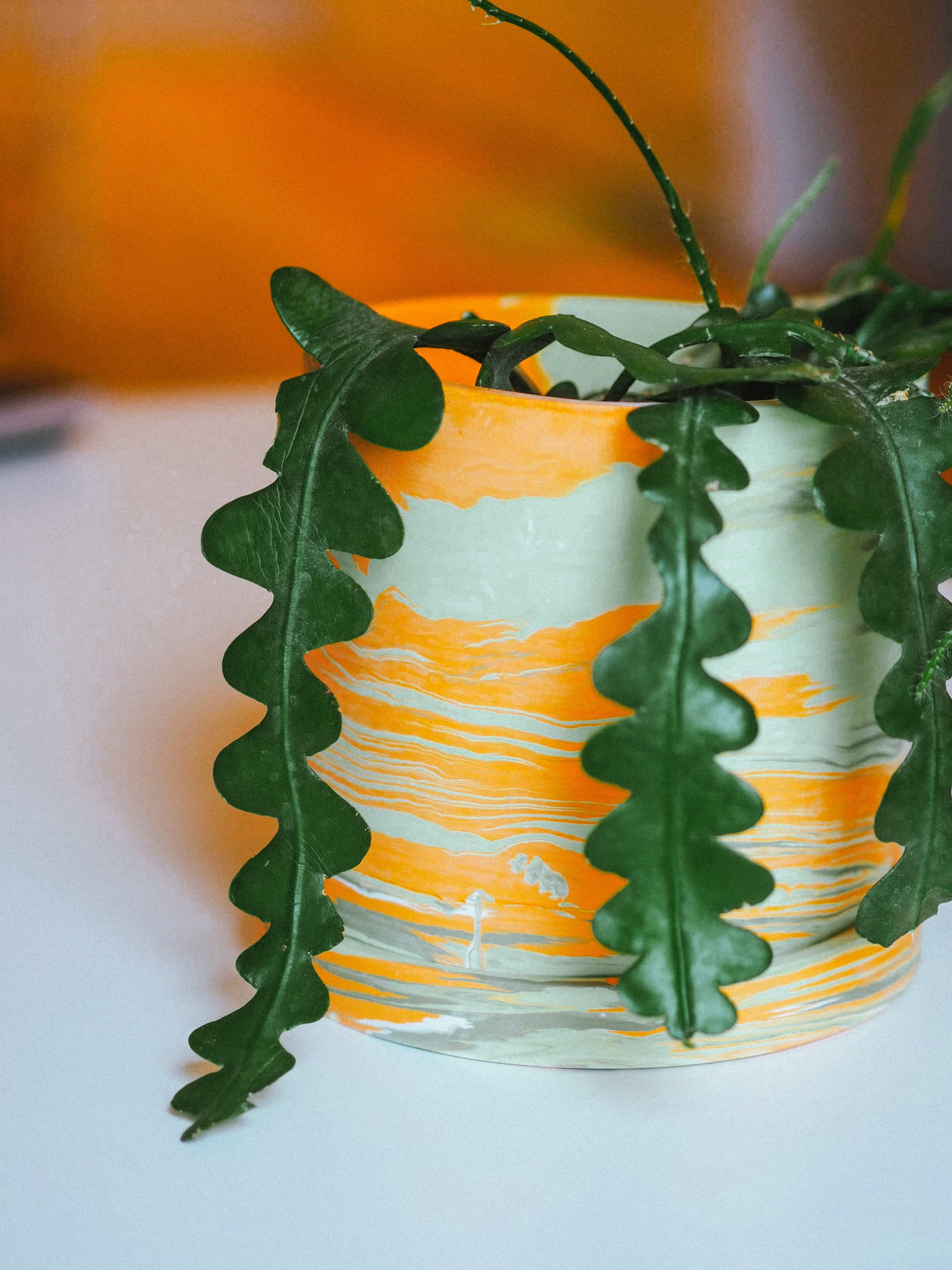 Studio Dawn Happy Home Decor-282.jpg