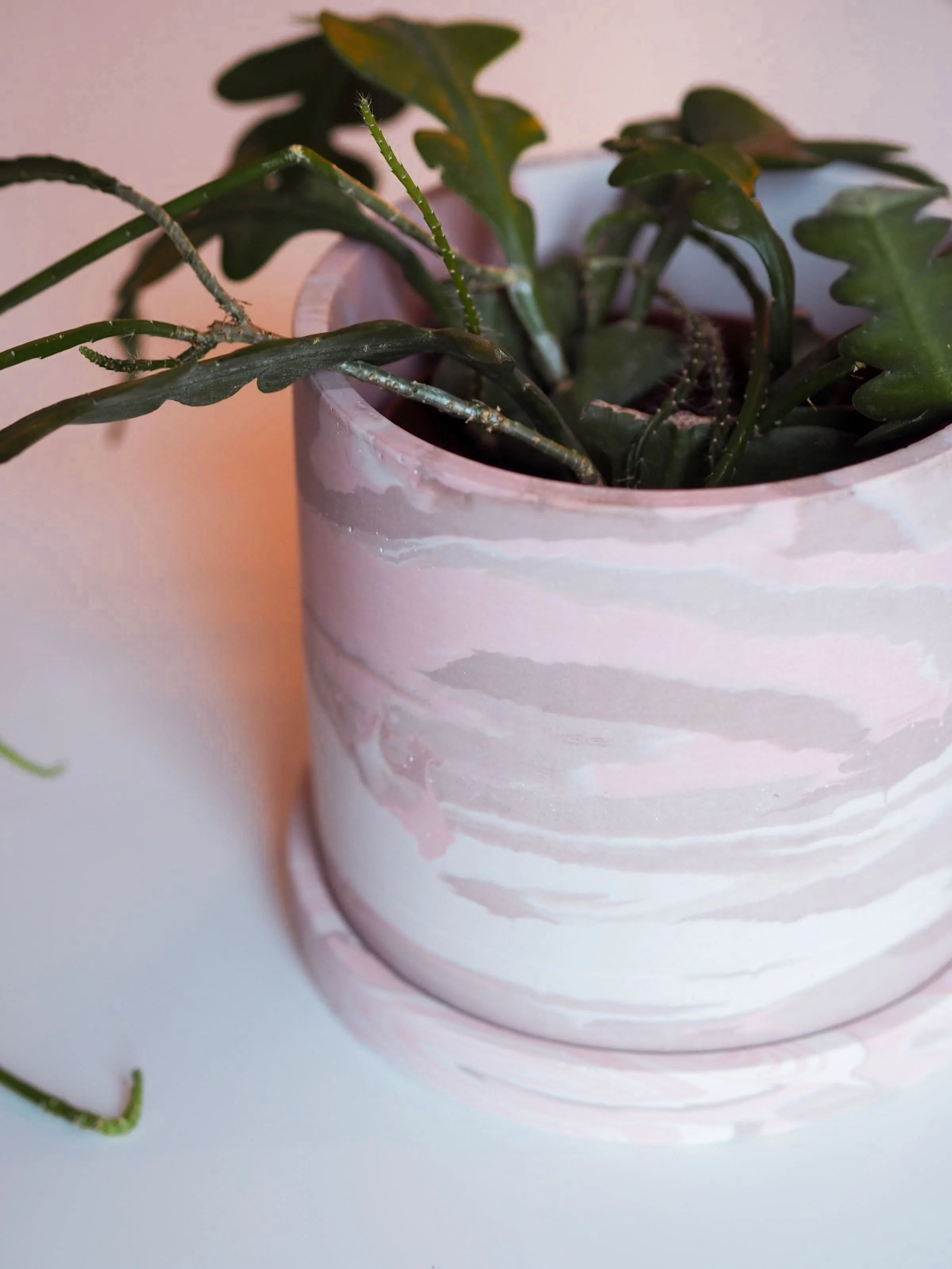 15cm Marbled Plant Pot: Strawberry Champagne