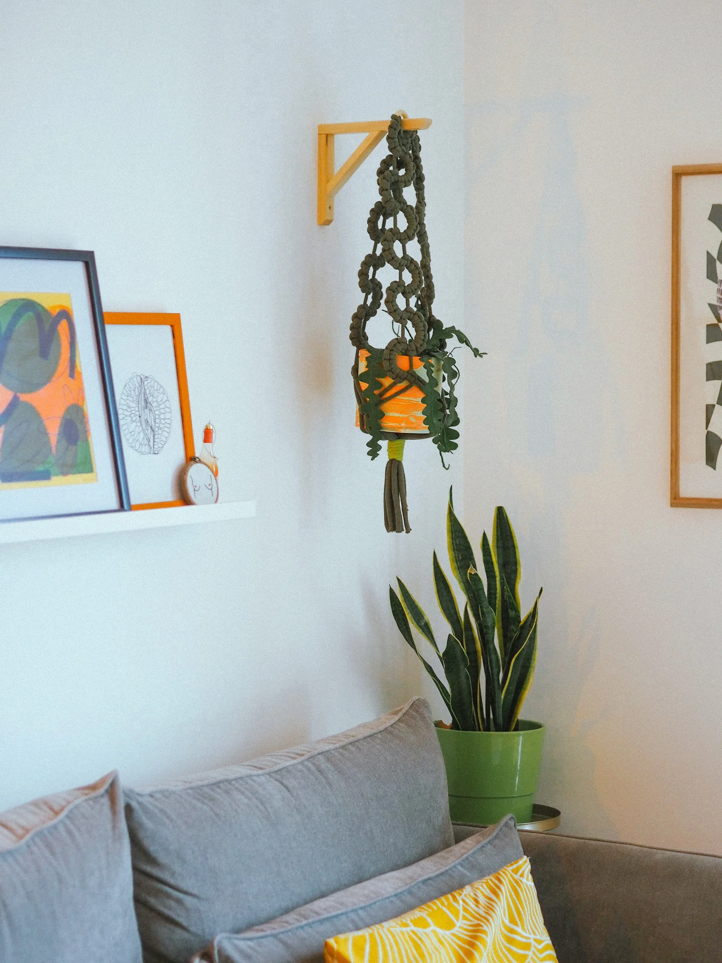 Chunky Wave Plant Hanger: Avocado