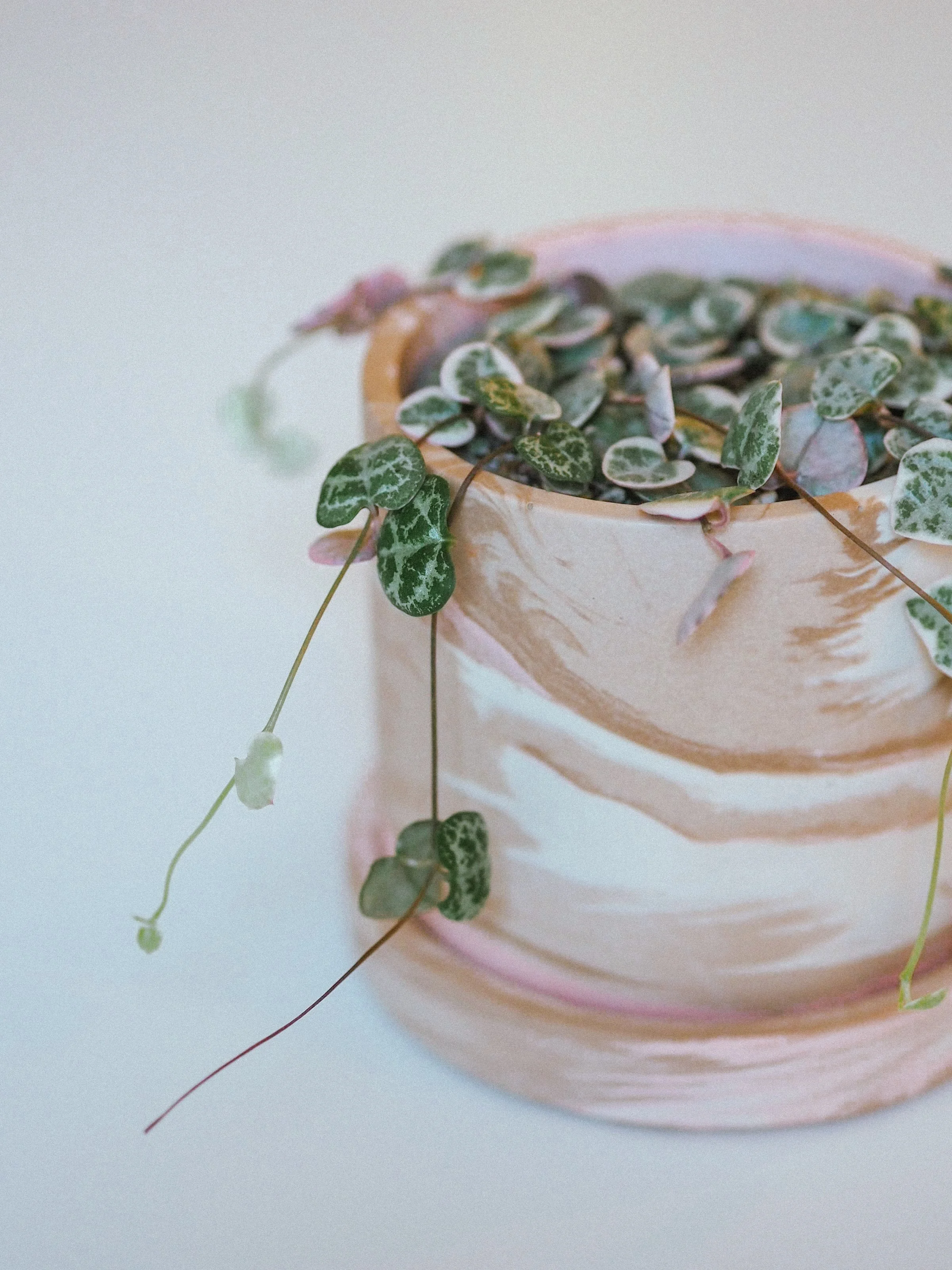10cm Marbled Plant Pot: Strawberry Champagne