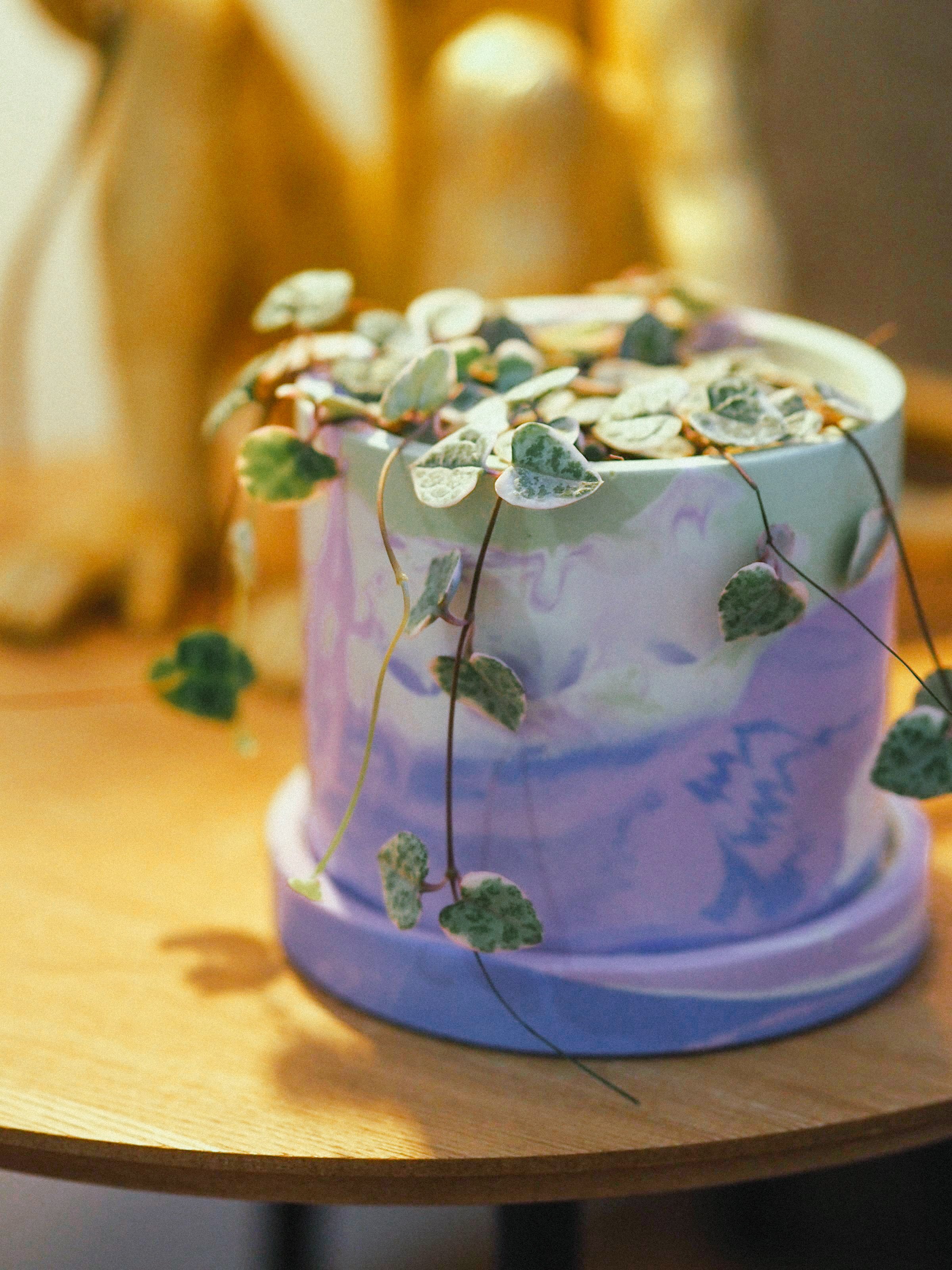 Studio Dawn Happy Home Decor-81.jpg