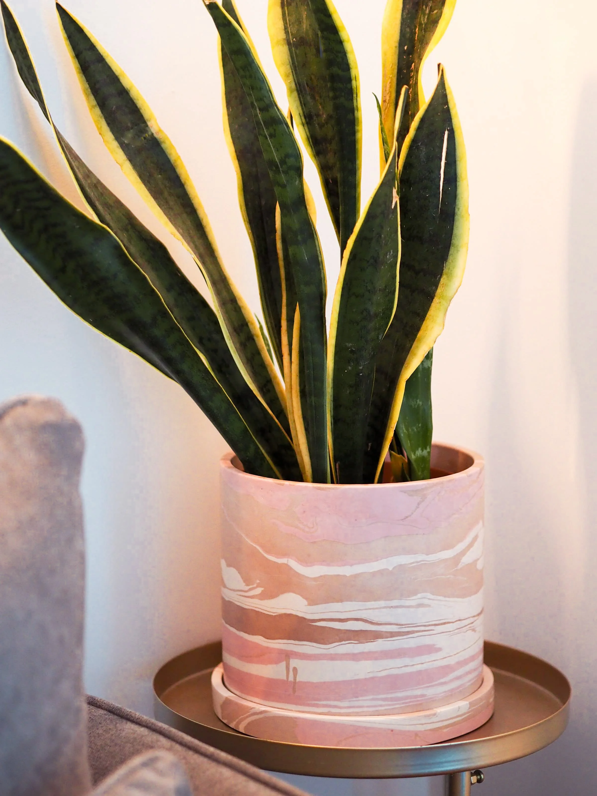 18cm Marbled Plant Pot: Strawberry Champagne