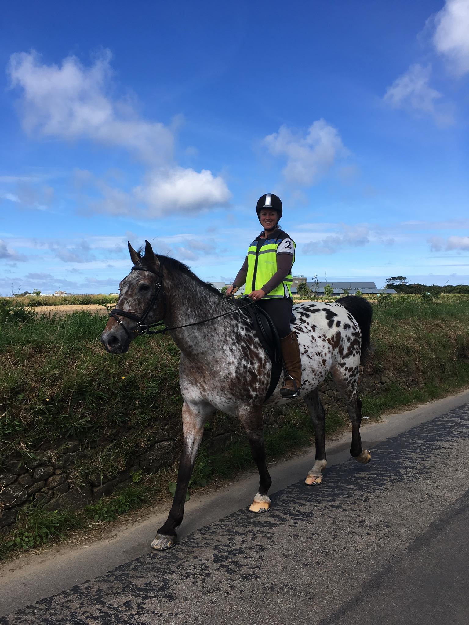 Person riding a dappled gray and white spotted horse along a rural road with cloudy blue sky and fields in the background.
