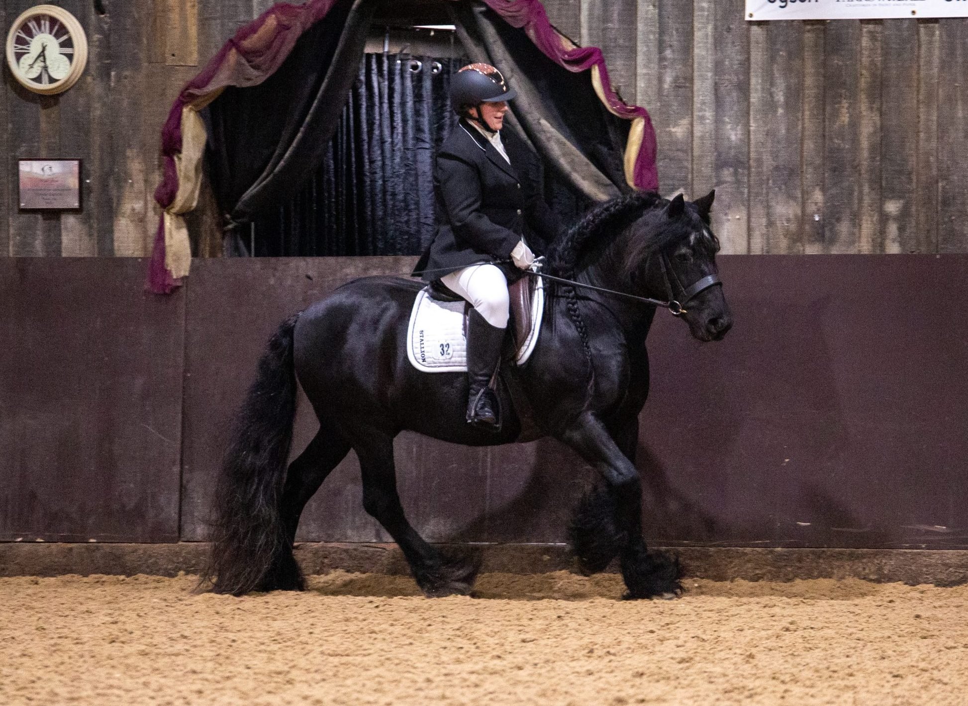 A person in riding gear and a helmet riding a black horse inside an indoor riding arena with a wooden wall backdrop.