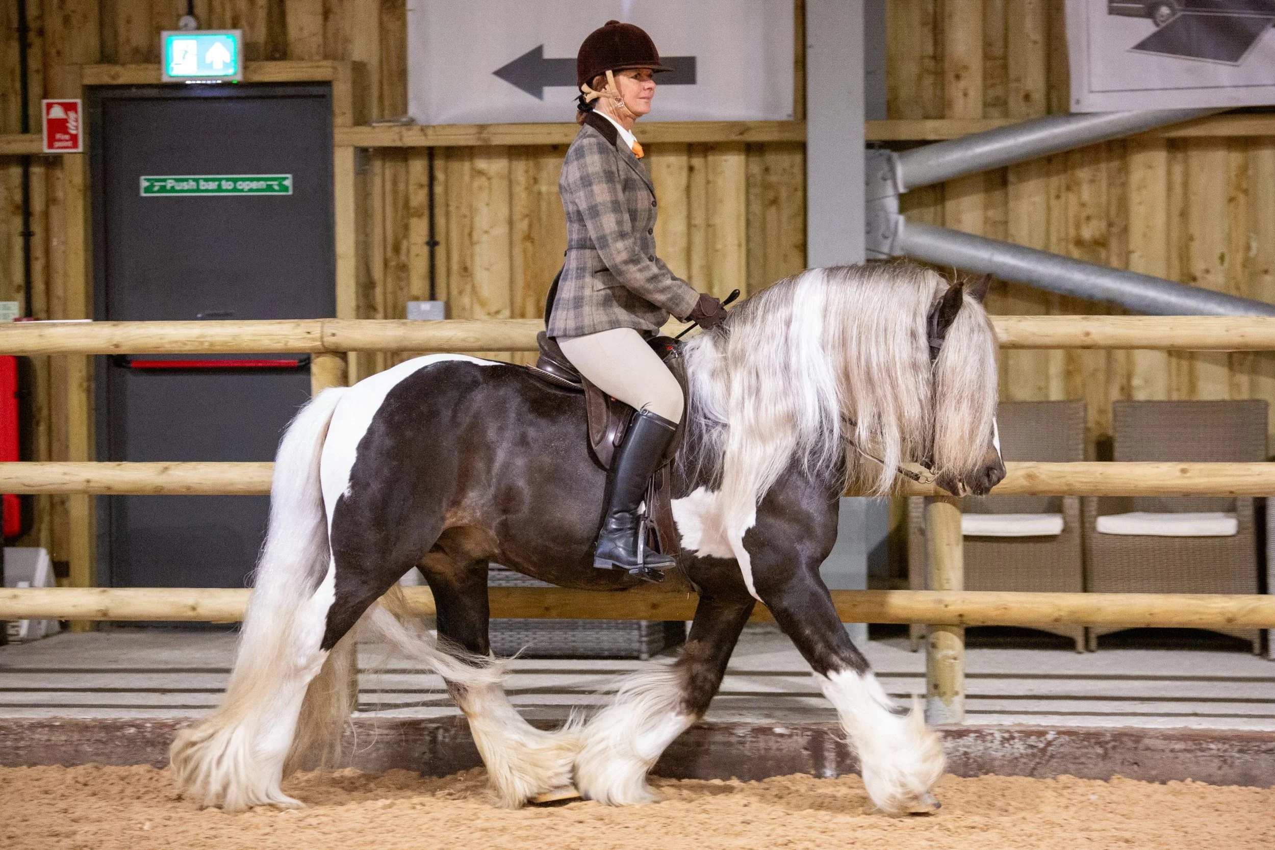 A woman dressed in equestrian attire riding a black and white horse in an indoor riding arena with wooden walls and a sandy floor.