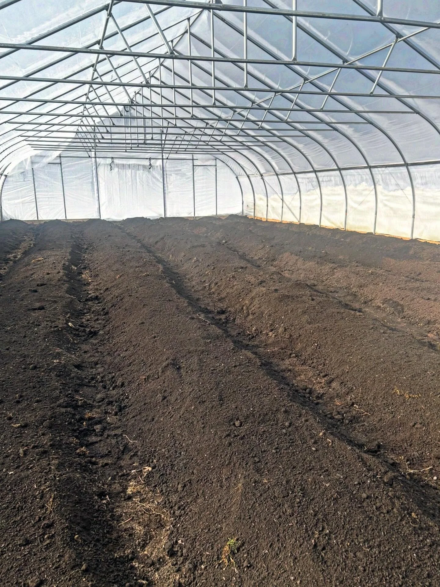 Second greenhouse is all set! More growth pics coming soon, once this chilly spell passes.