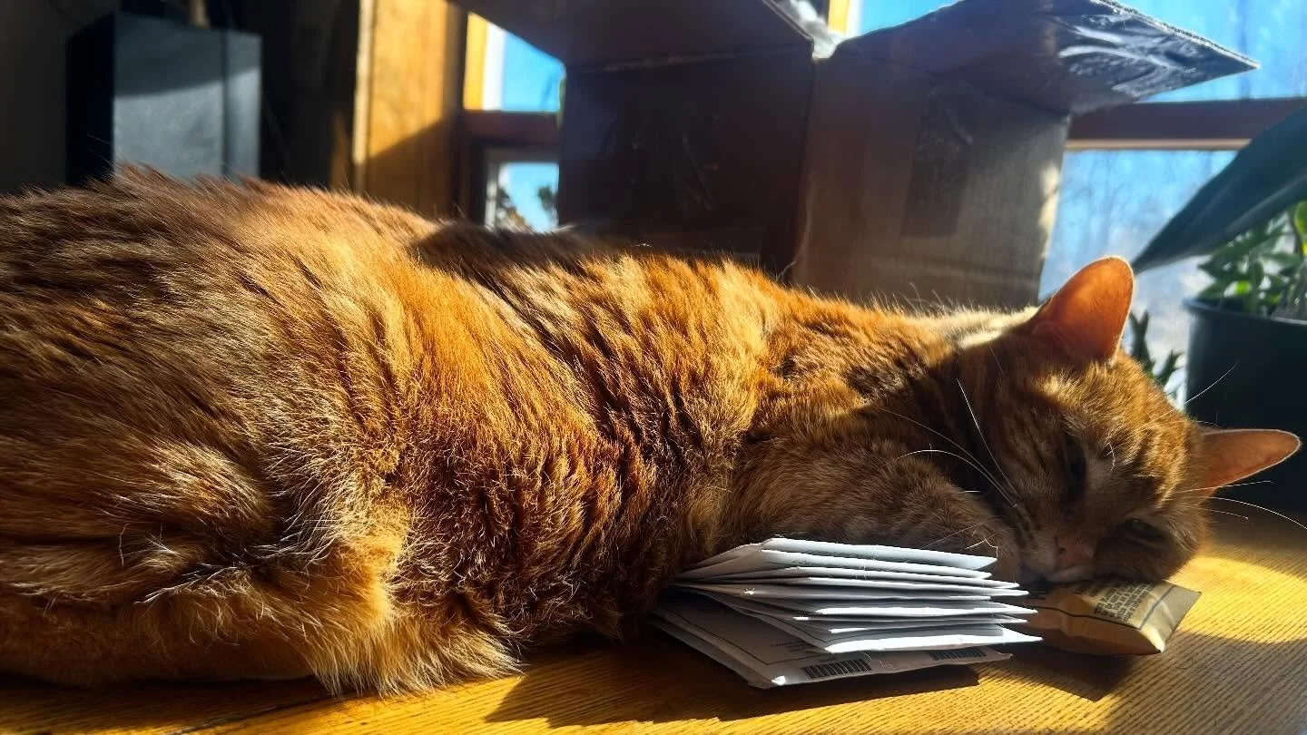 Blob is warming up the seeds.