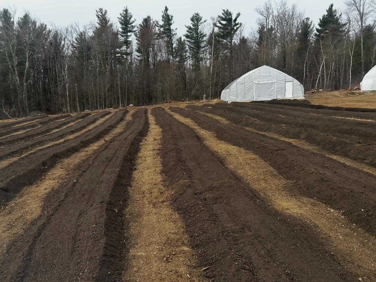 Ten years of tending on someone else's land, and now we're cultivating our own dream field. Progress is slow, but the vision is clear!