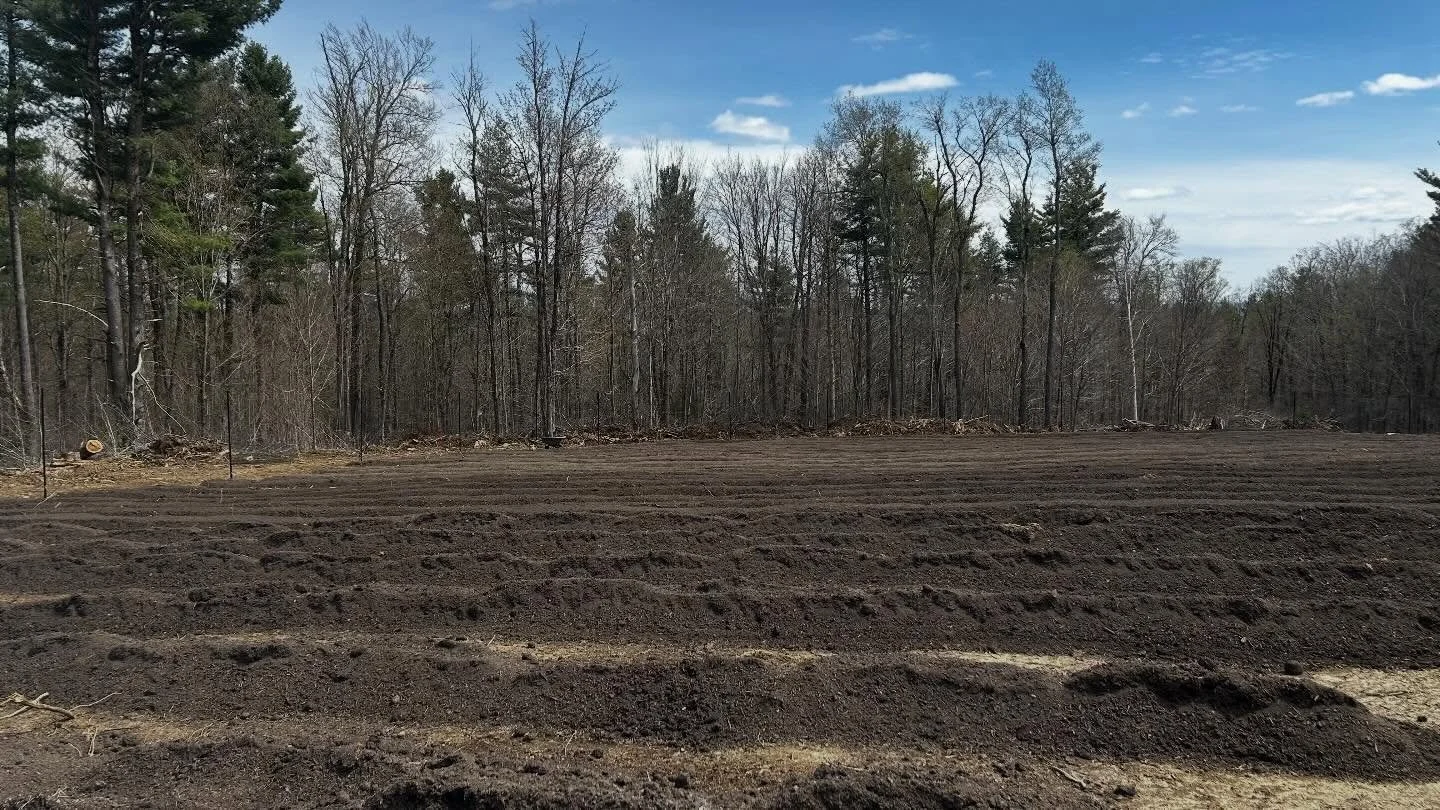 It&rsquo;s hard to tell in this picture but we just finished putting the deer fencing up! No longer will we lose our cabbages and black beans to those freaks!