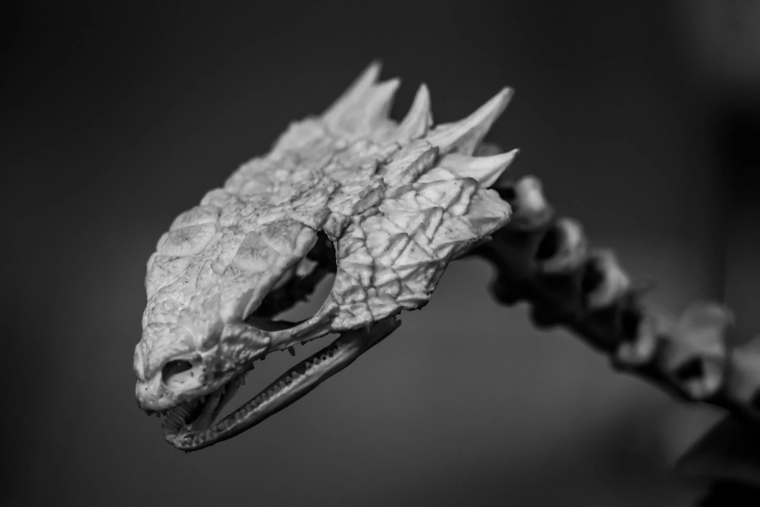 0 - 2025-07-30T143528.028.jpg