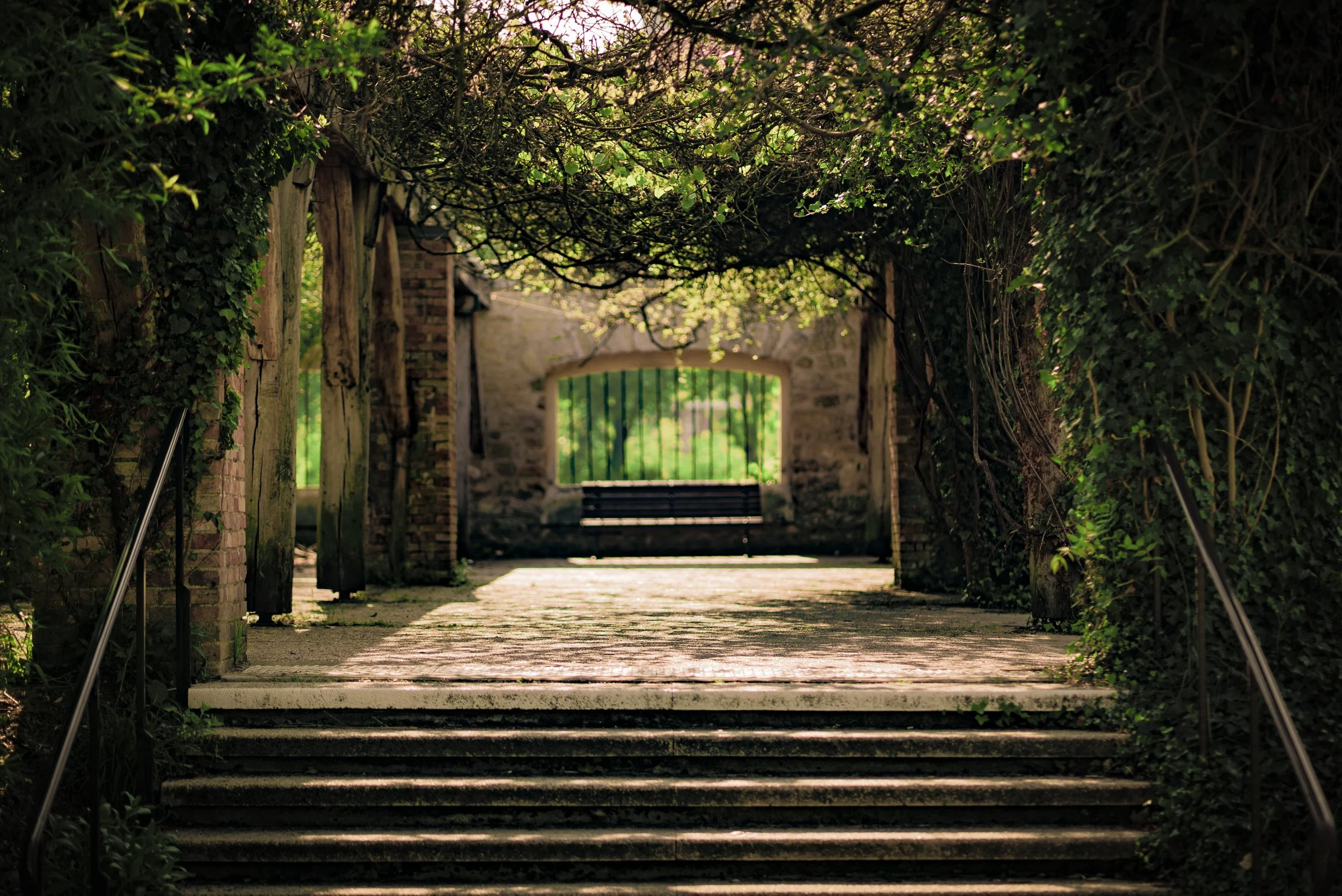 0 - 2025-07-30T142943.838.jpg