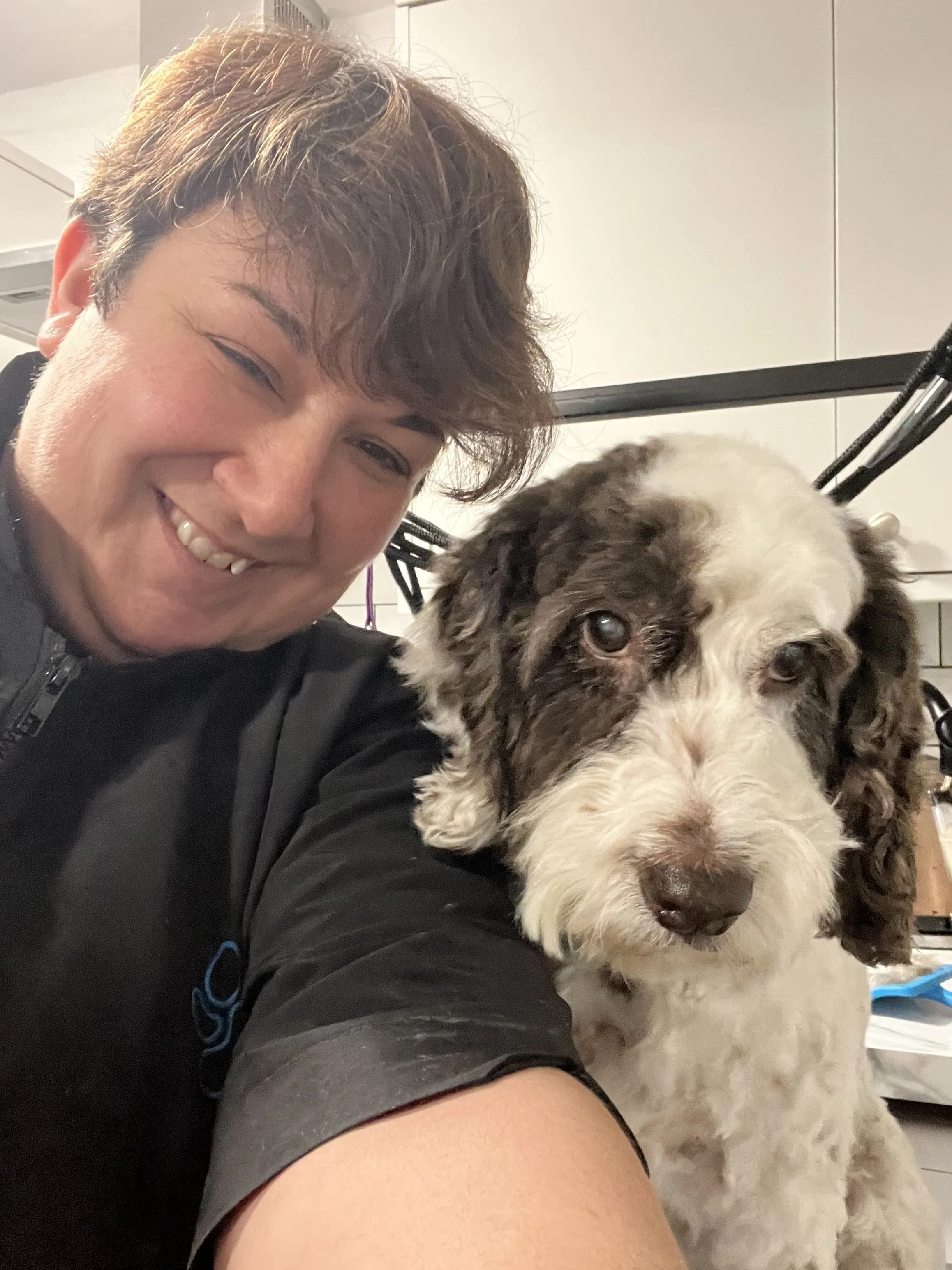 Harvey groomer.jpg