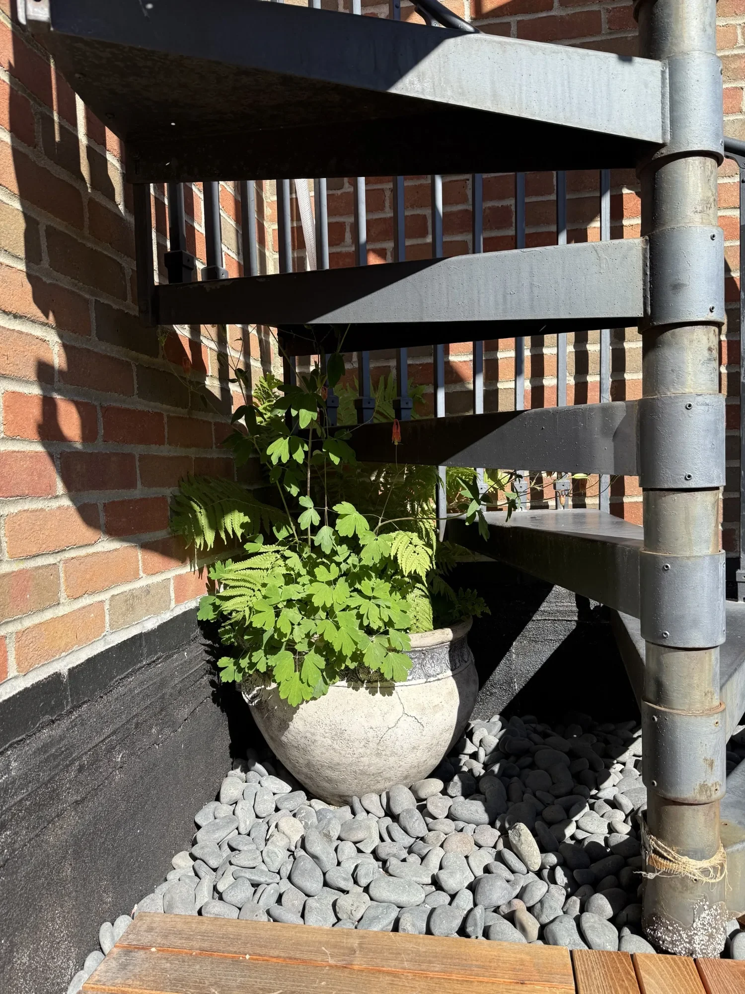 habit-brooklyn-terrace-13.webp