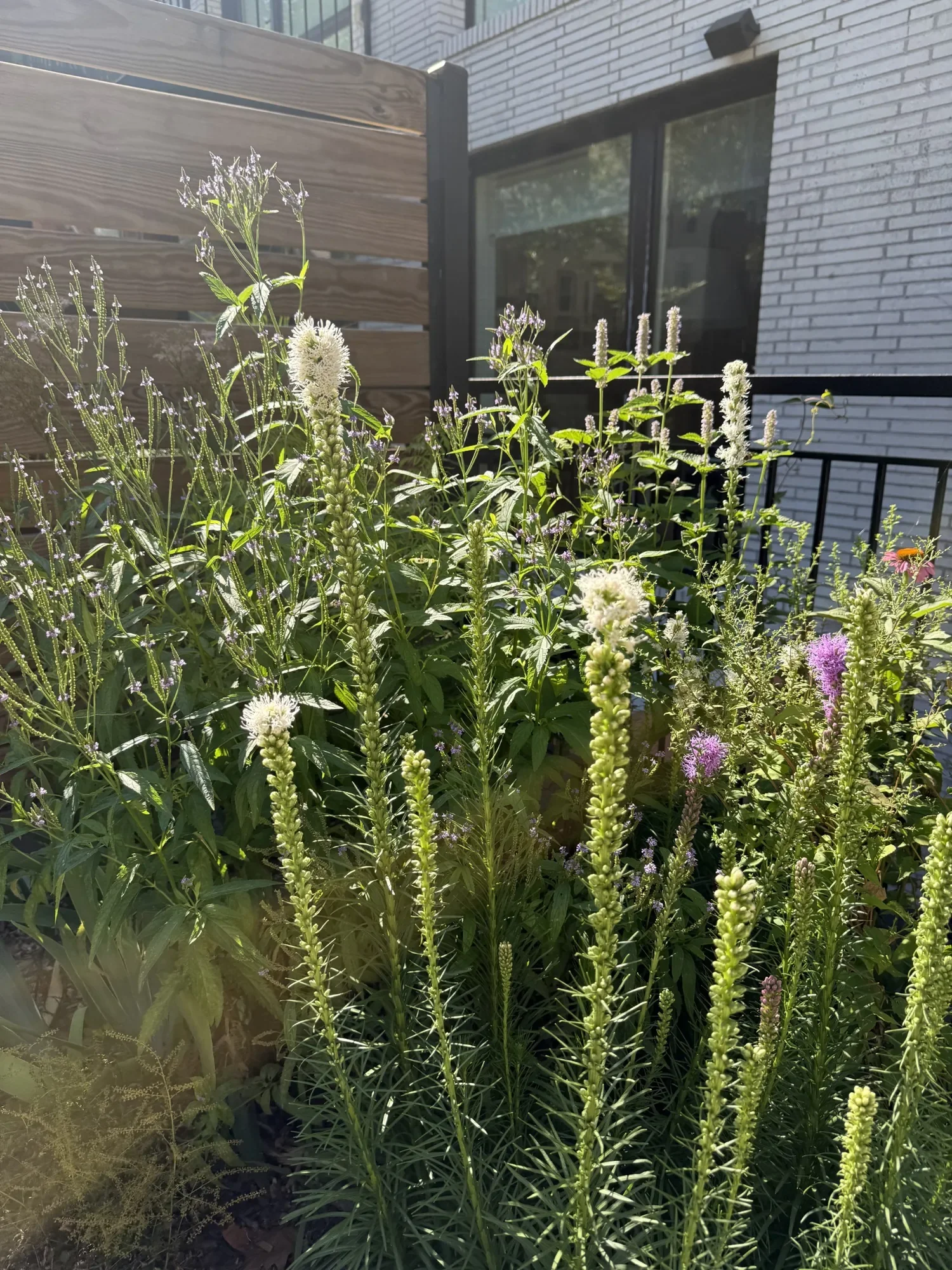 habit-brooklyn-landscape-49.webp