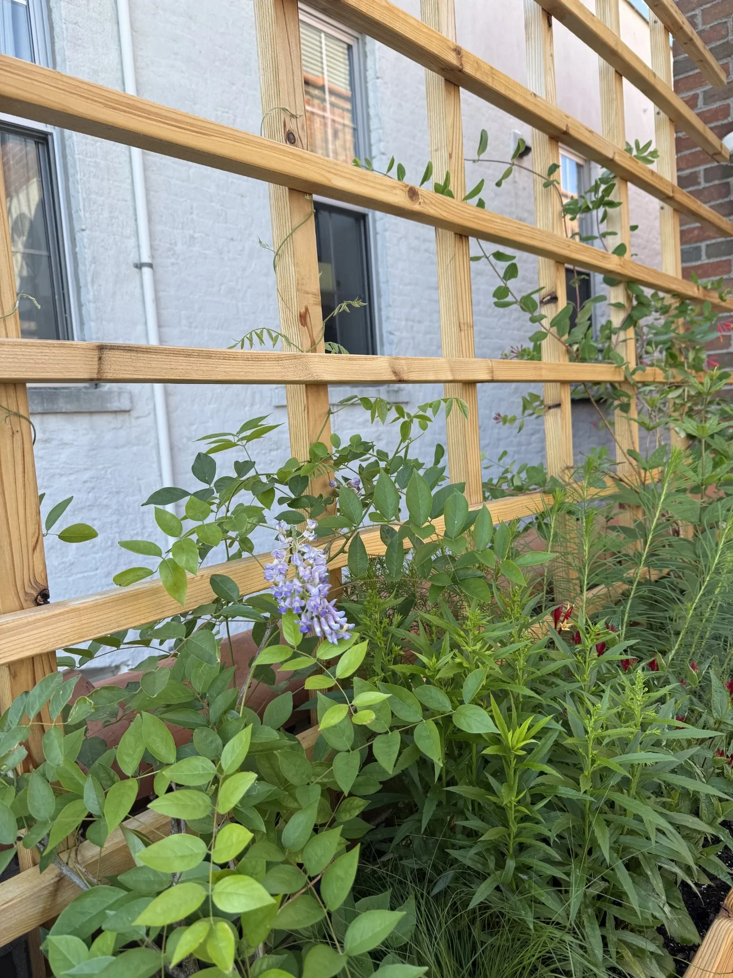 habit-brooklyn-terrace-18.webp