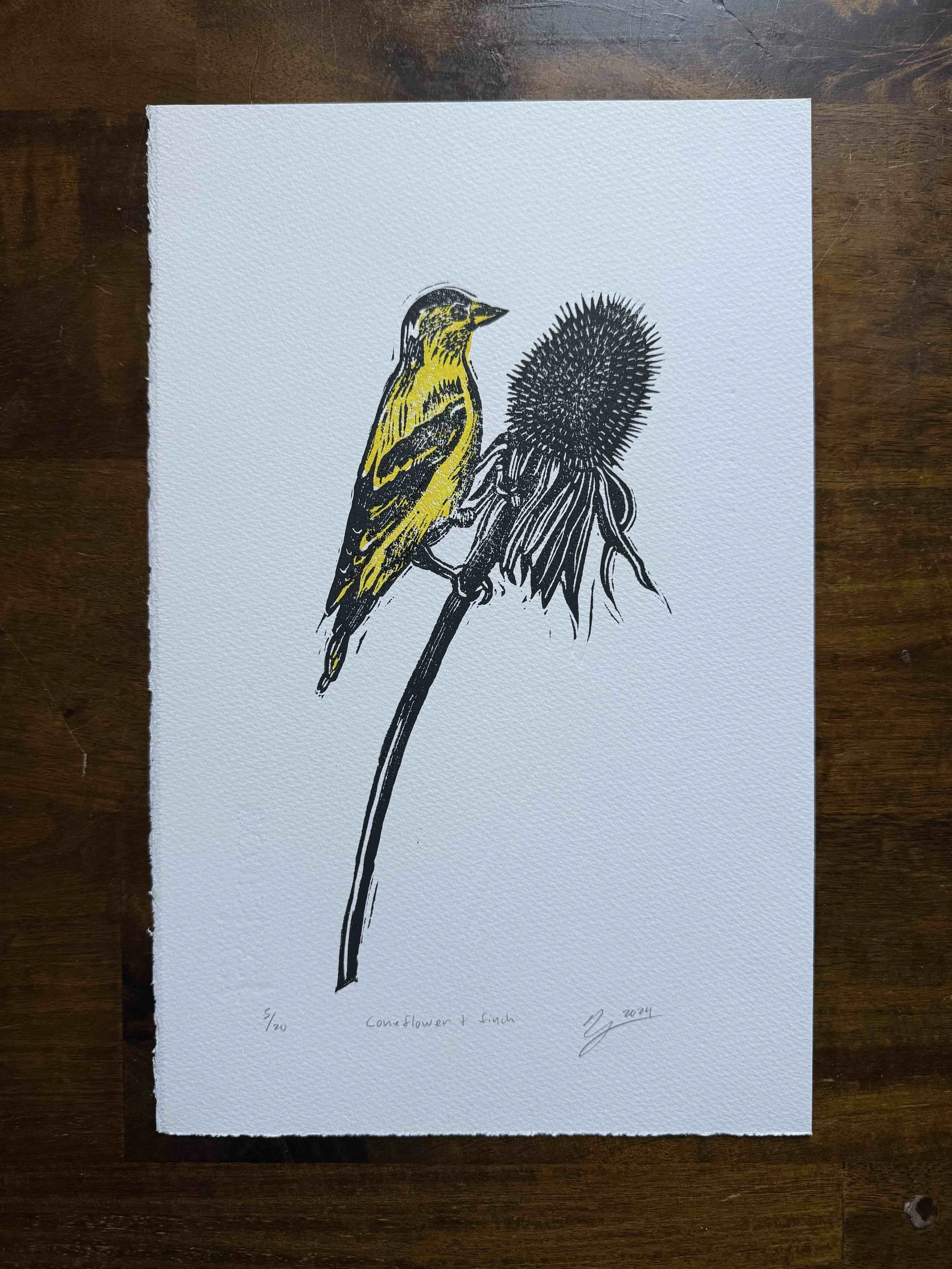 Gold Finch + Coneflower
8" 12"
250G cover paper

Hand pressed linocut print of 
a finch feeding on the seeds of 
a coneflower. I used a two-plate 
process to achieve the yellow 
and black duotone.

As the winter months wane and 
food becomes more sca