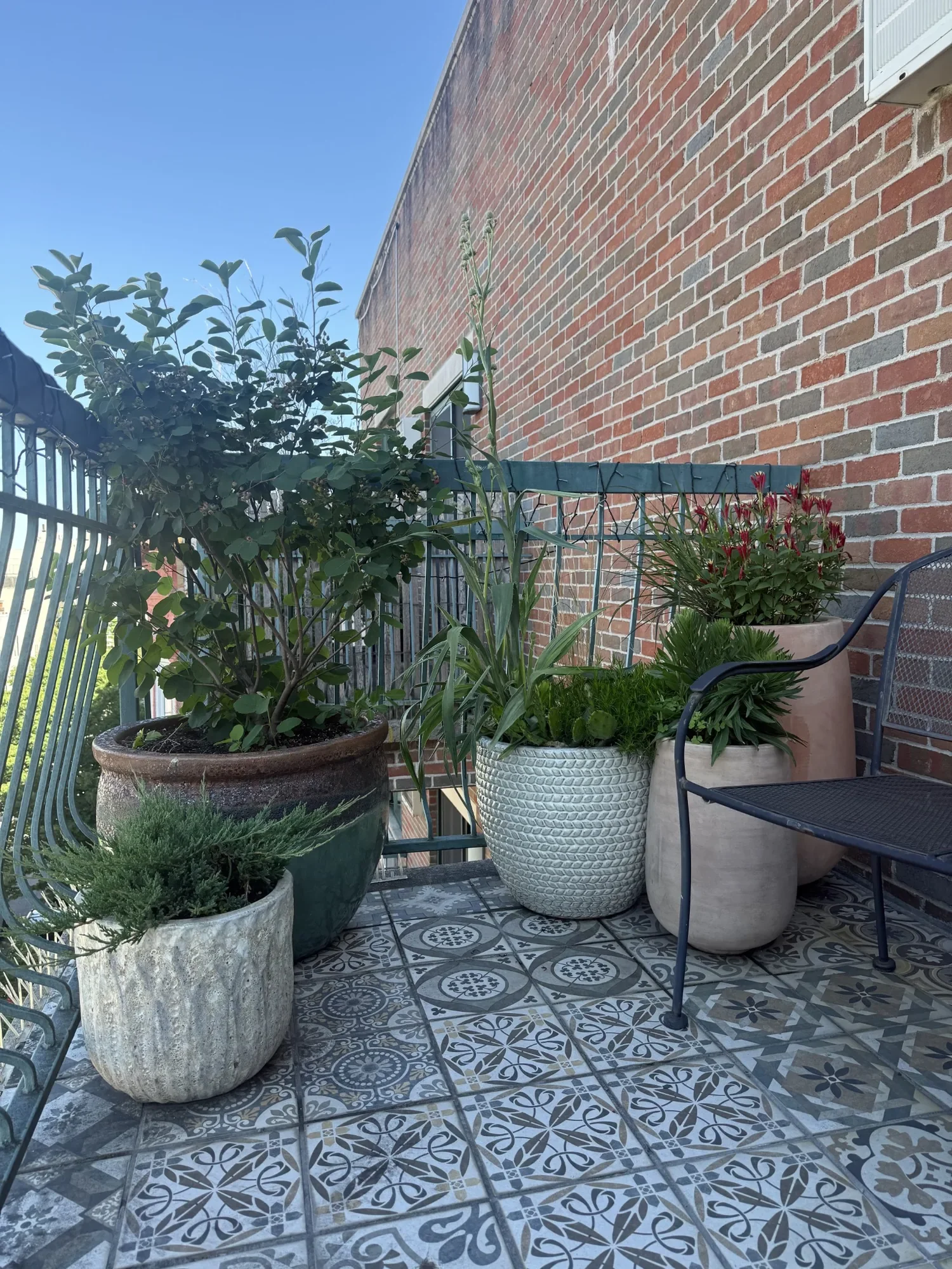 habit-brooklyn-terrace-20.webp