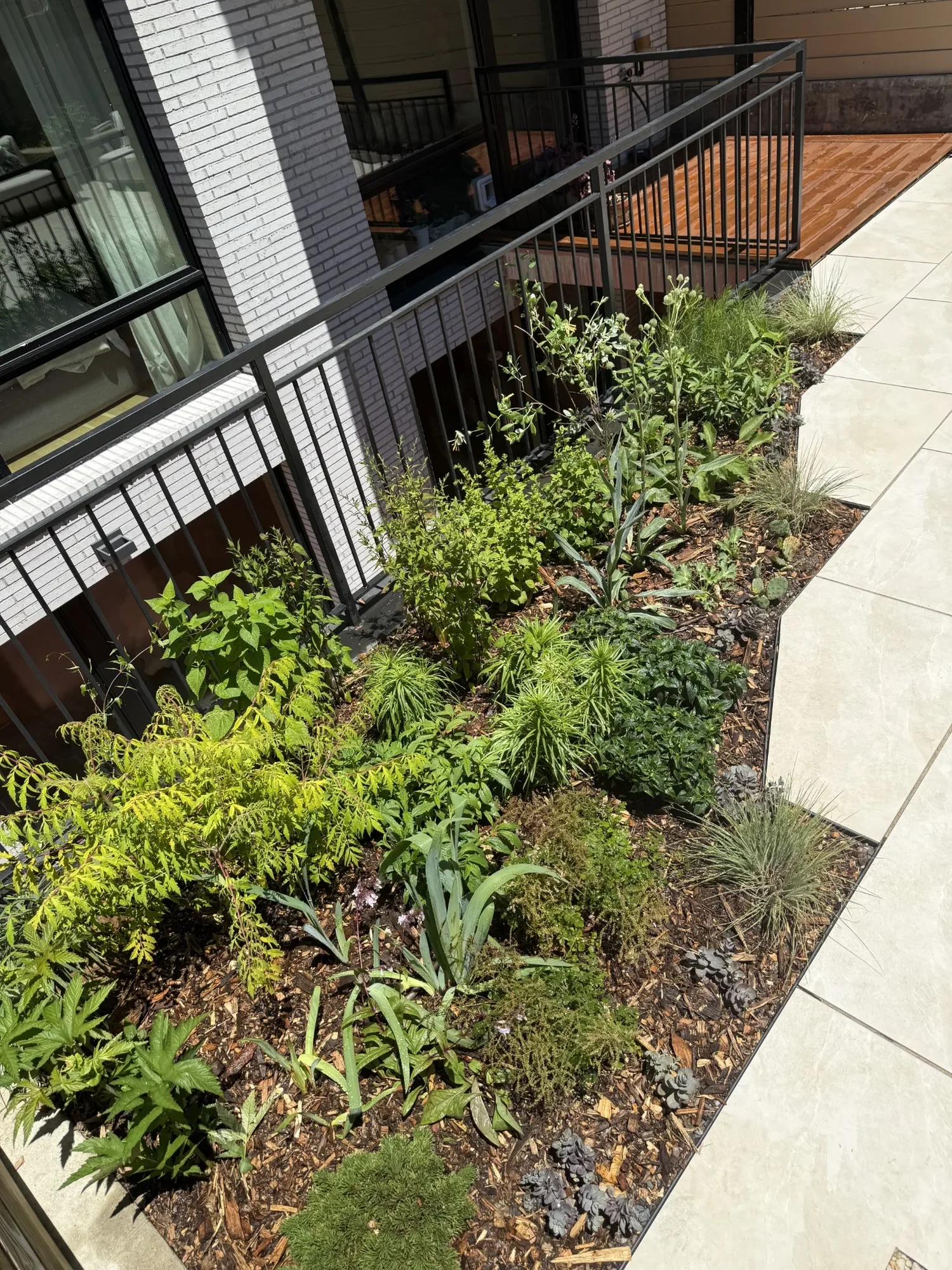 habit-brooklyn-landscape-32.webp