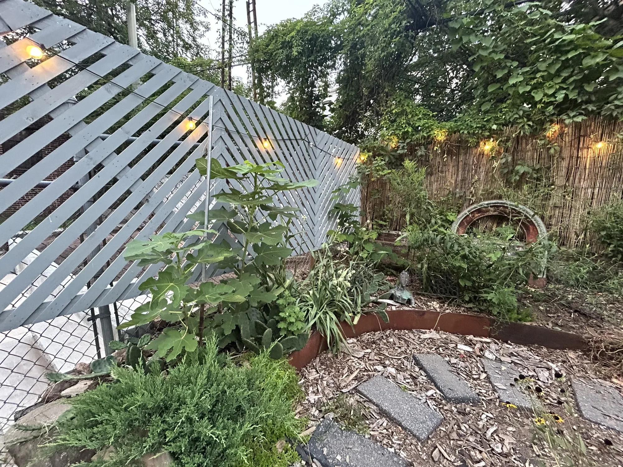 habit-brooklyn-landscape-64.webp