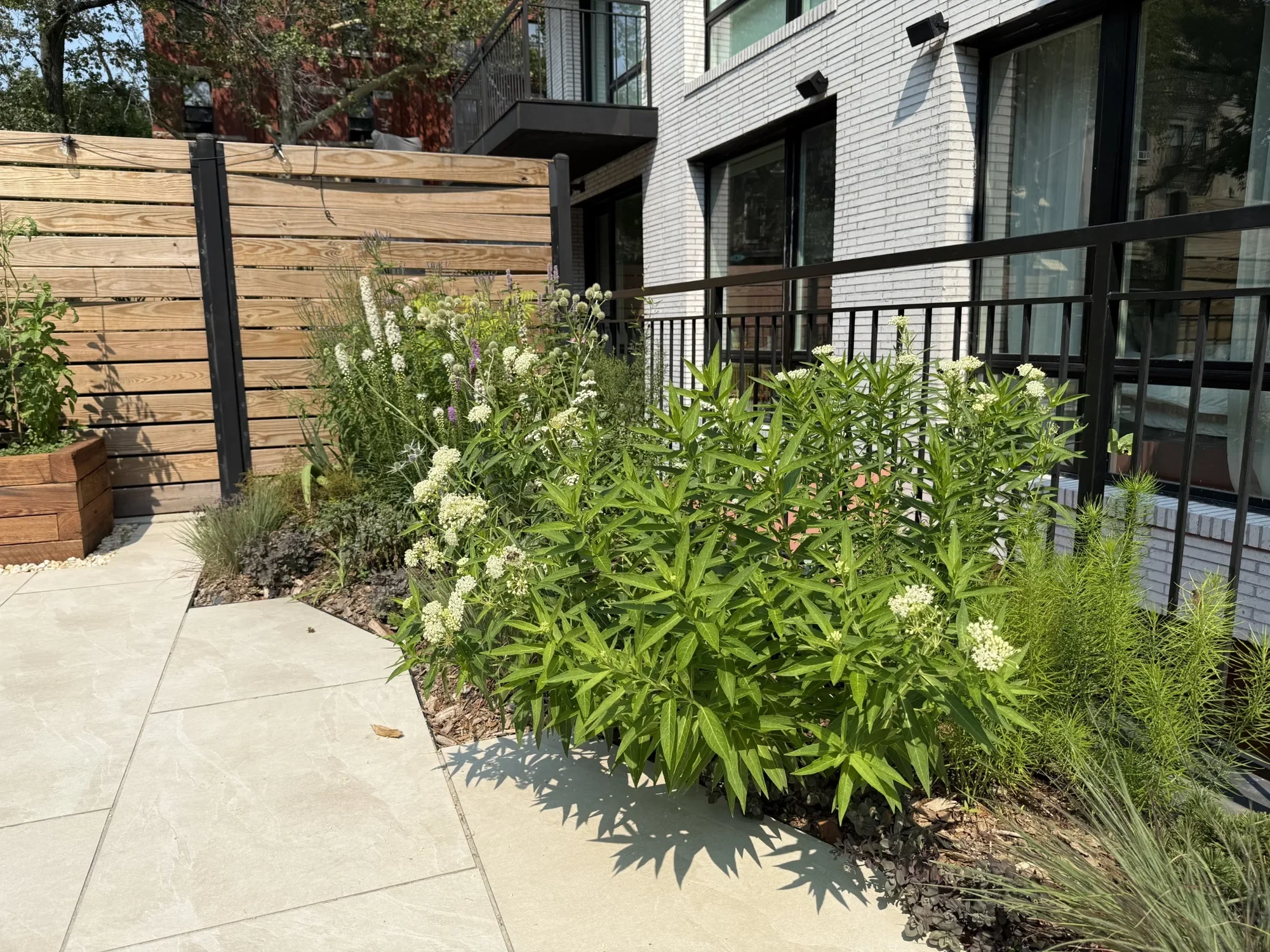 habit-brooklyn-landscape-54.webp