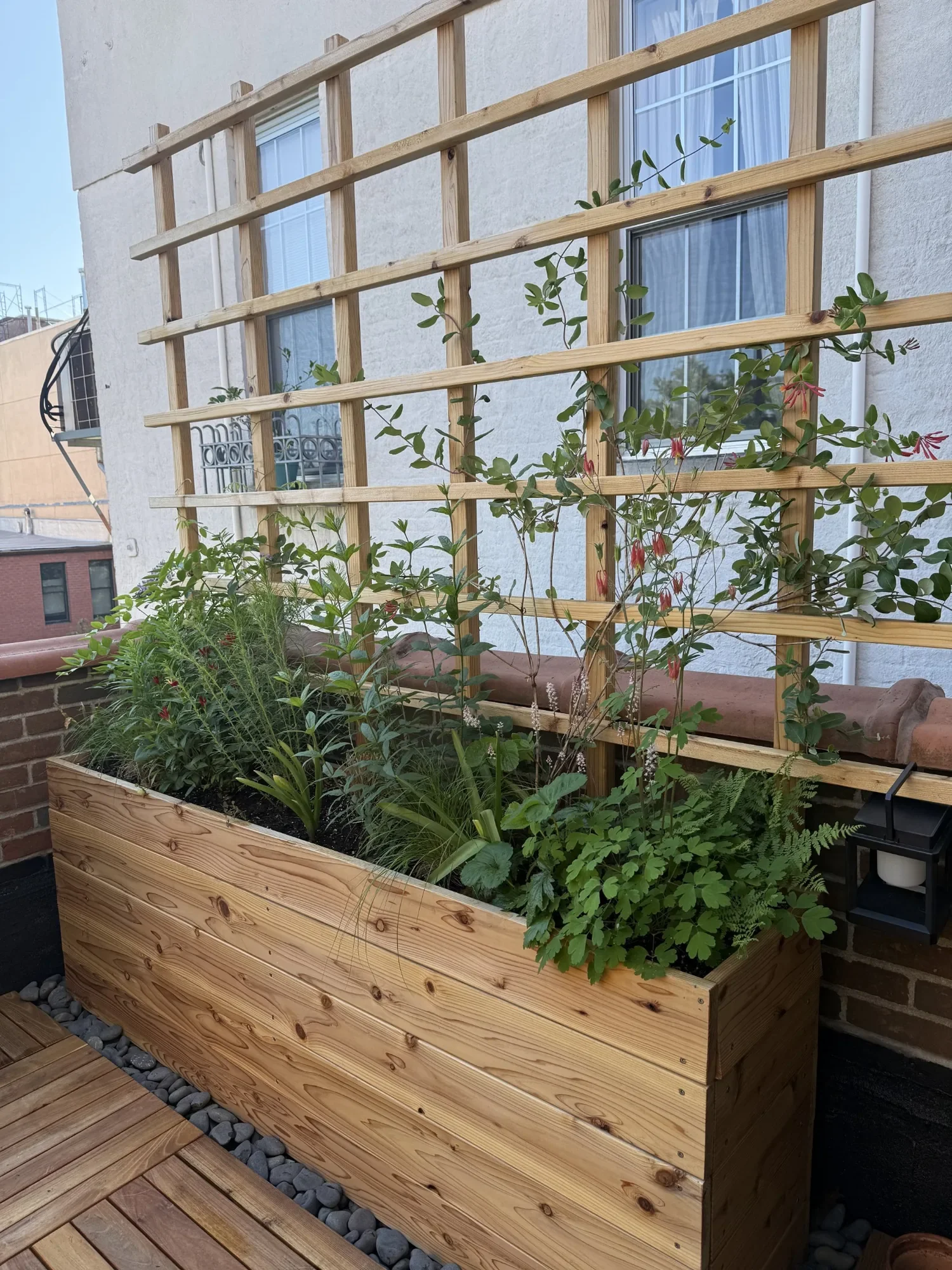 habit-brooklyn-terrace-16.webp