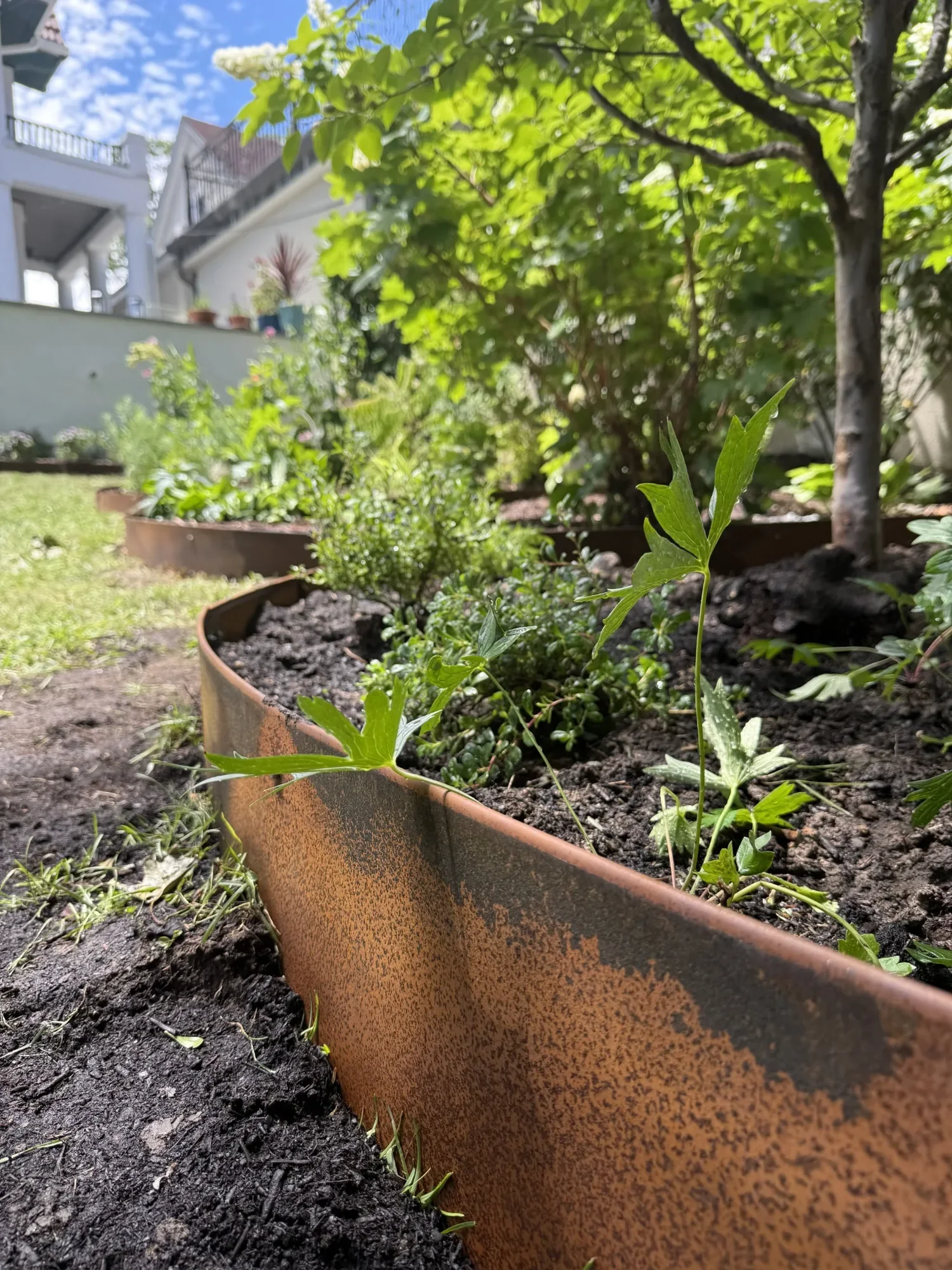 habit-brooklyn-landscape-100.webp