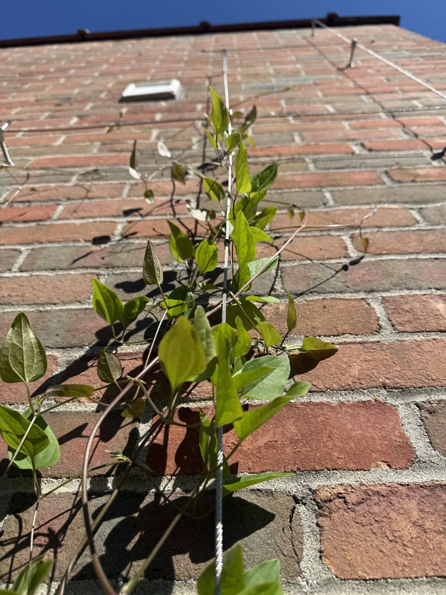 habit-brooklyn-terrace-10.webp