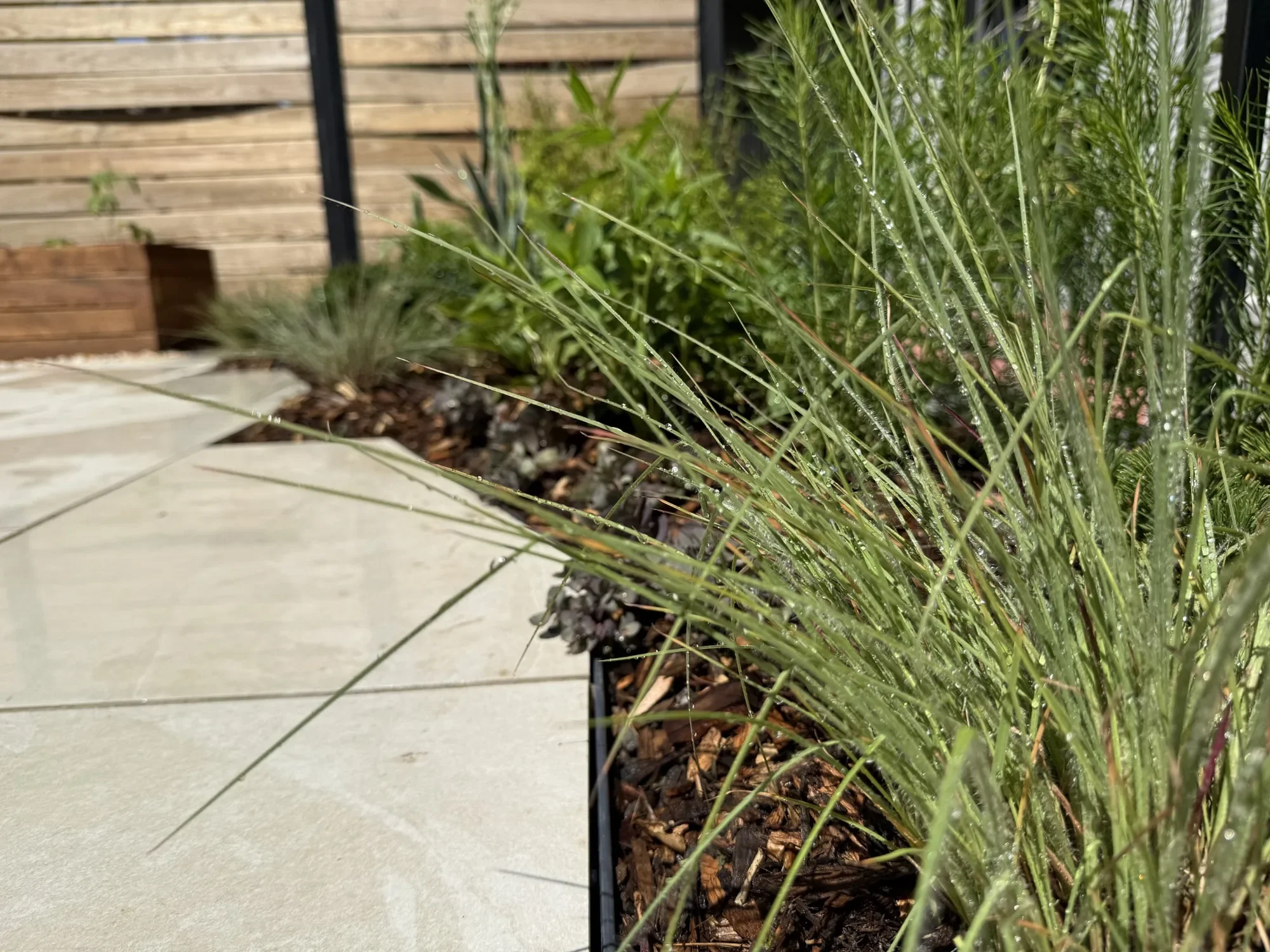 habit-brooklyn-landscape-30.webp