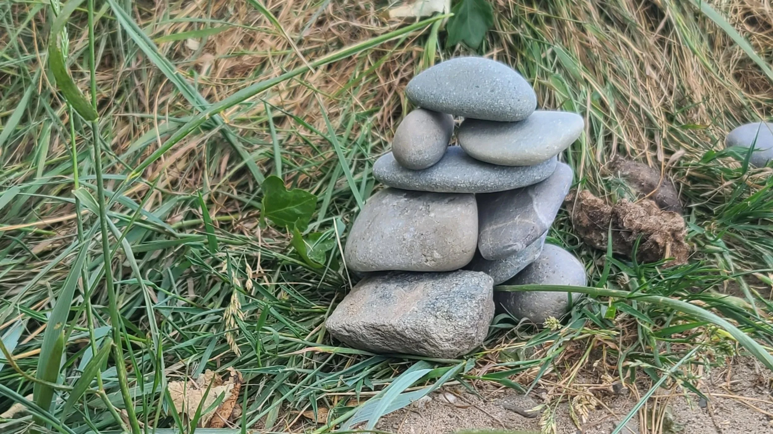 Stacked gray and smooth stones on grassy ground.