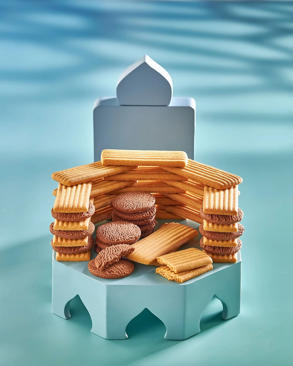 AL-seidy Feb18940 copy.jpg