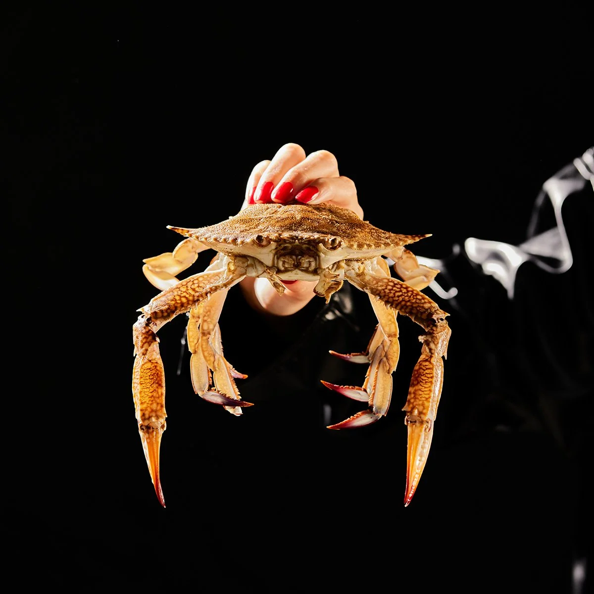 Paros Jan251106 1.jpg