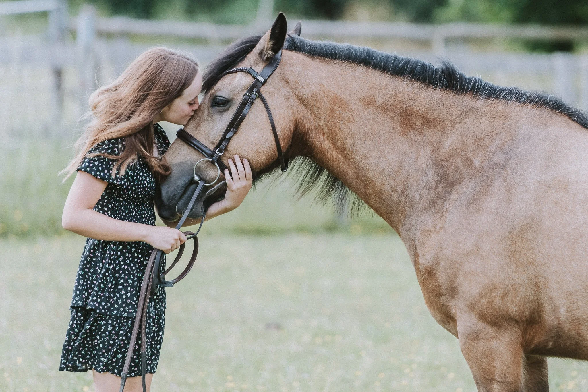 A girl with long brown hair wearing a black dress with white floral pattern, kissing a brown horse on the forehead in an outdoor grassy field.