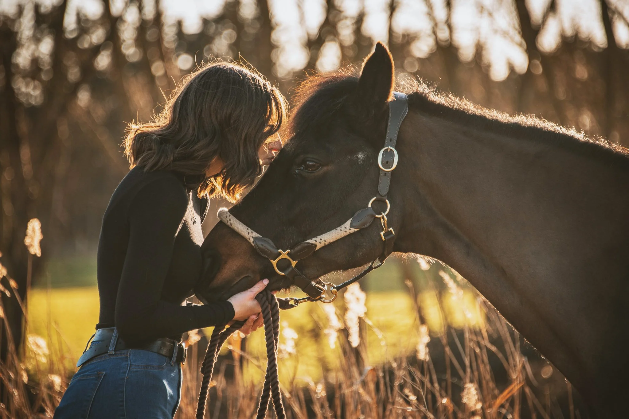 A woman with wavy brown hair and black top gently touching a black horse's face outdoors at sunset.