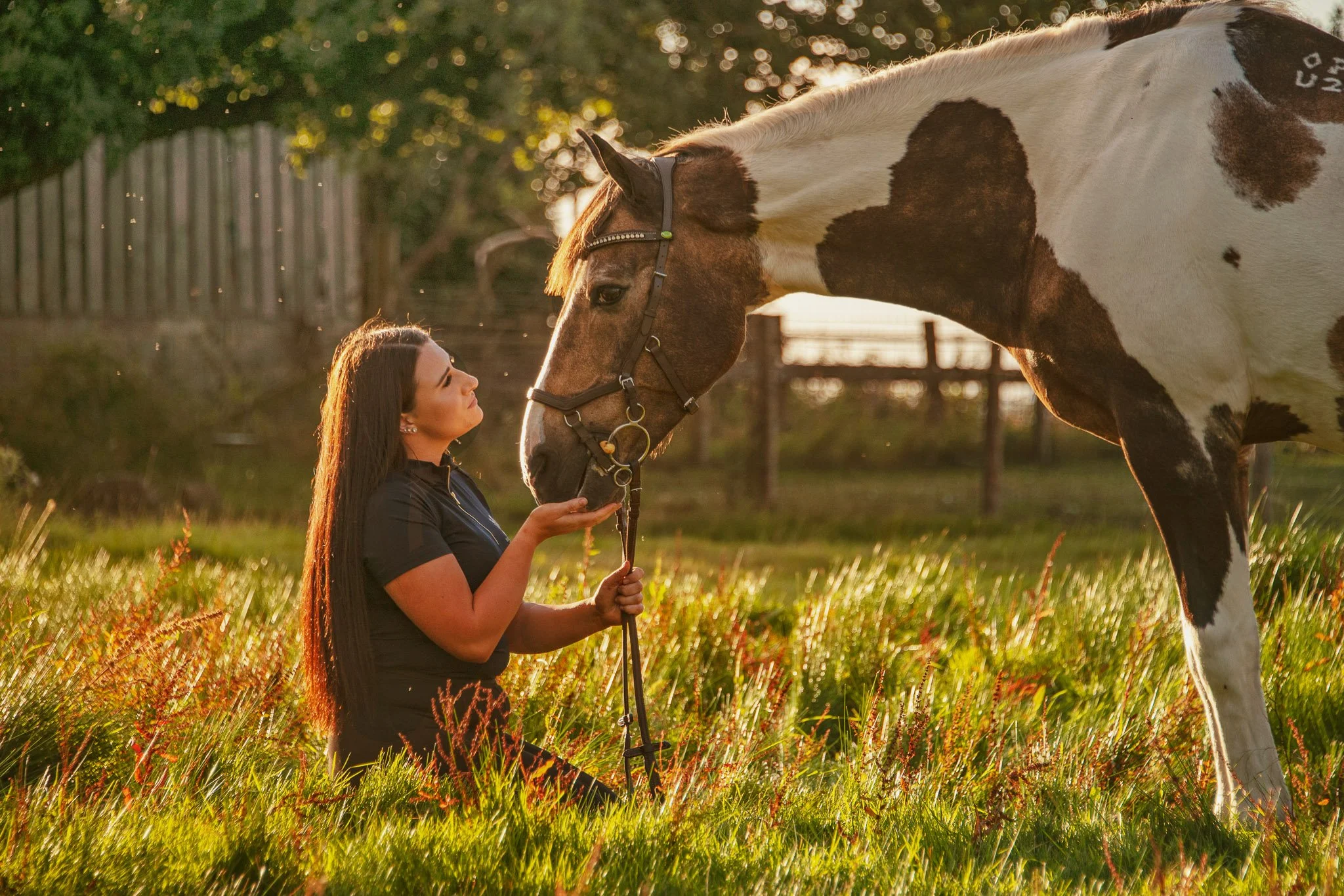 A woman kneeling on grass in a field, holding a horse's halter, with the horse gently touching her face in warm, golden sunlight.