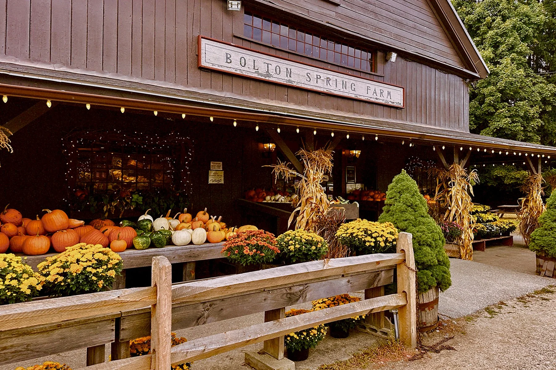 Porchard Fest - Late Summer Sessions