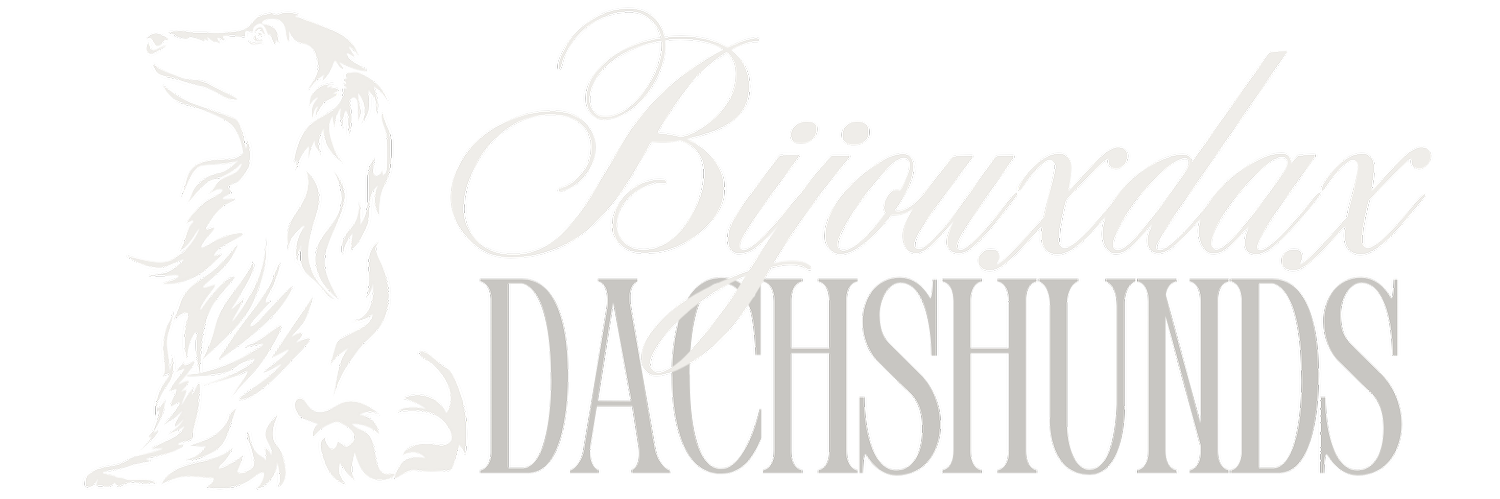 Bijouxdax Dachshunds