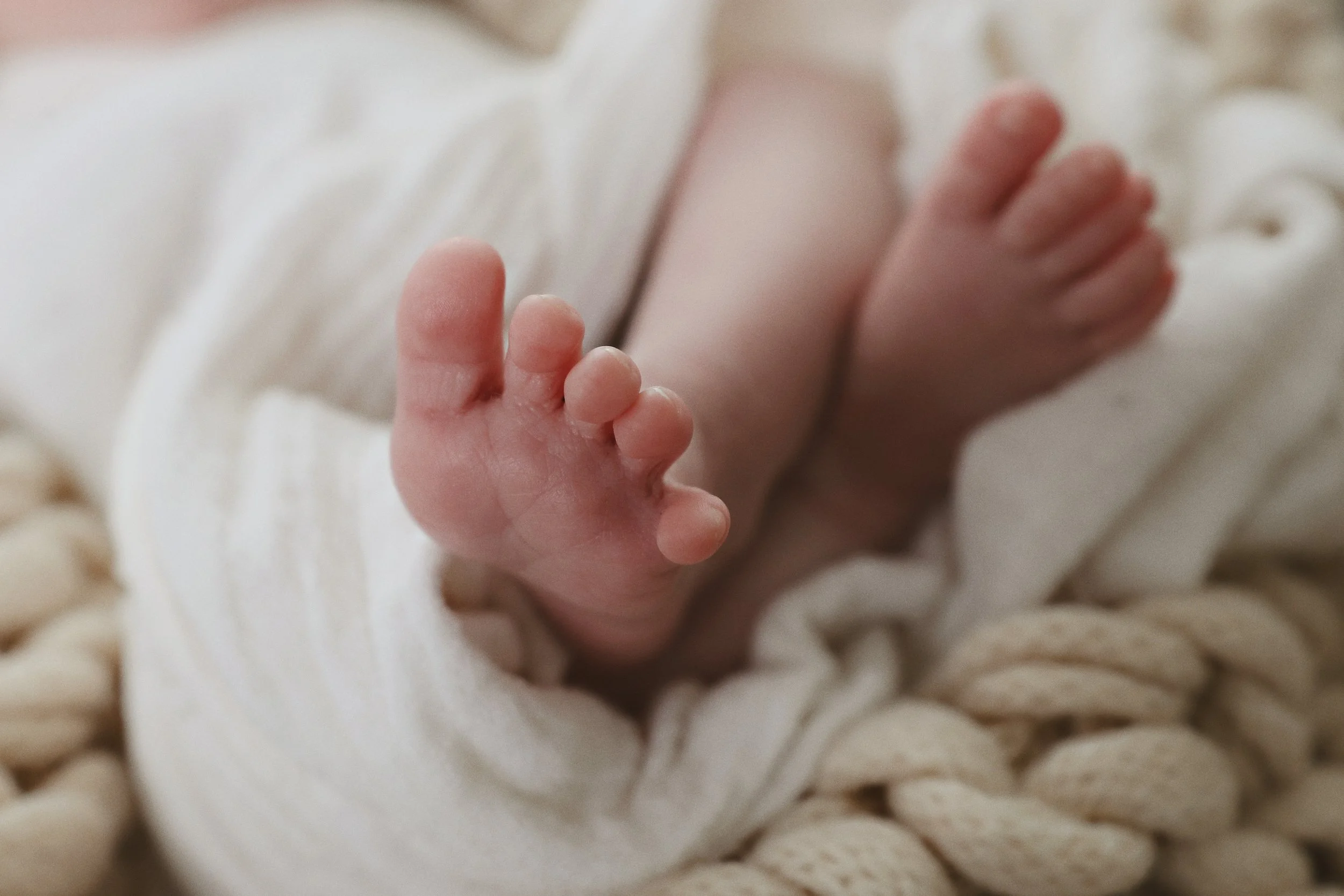 Close-up of a newborn baby’s hand and foot, wrapped in a cozy white blanket.