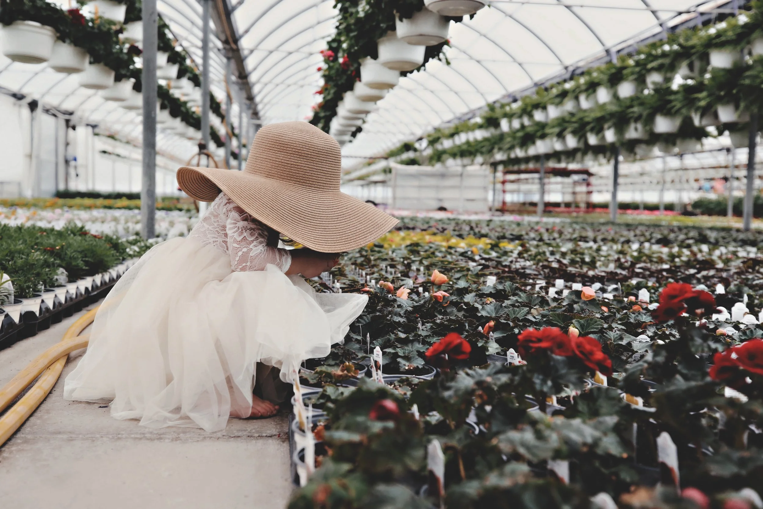 A young girl in a white dress and wide-brimmed sun hat crouching in a greenhouse, tending to potted flowering plants.