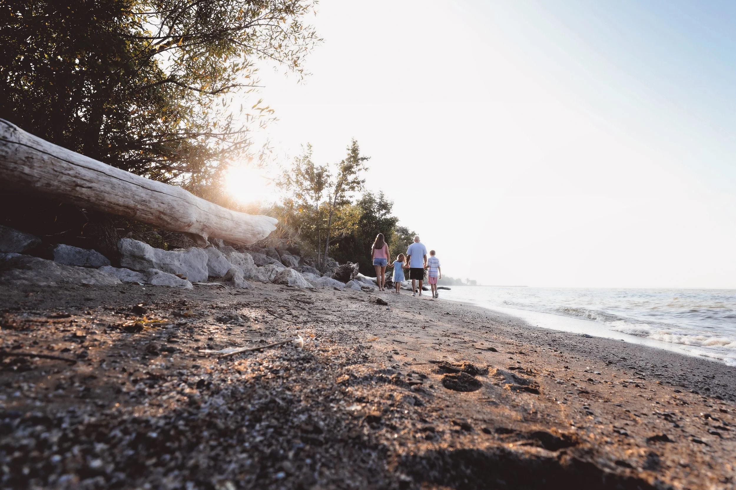 Family walking on a beach at sunset, with trees and driftwood on the shore.