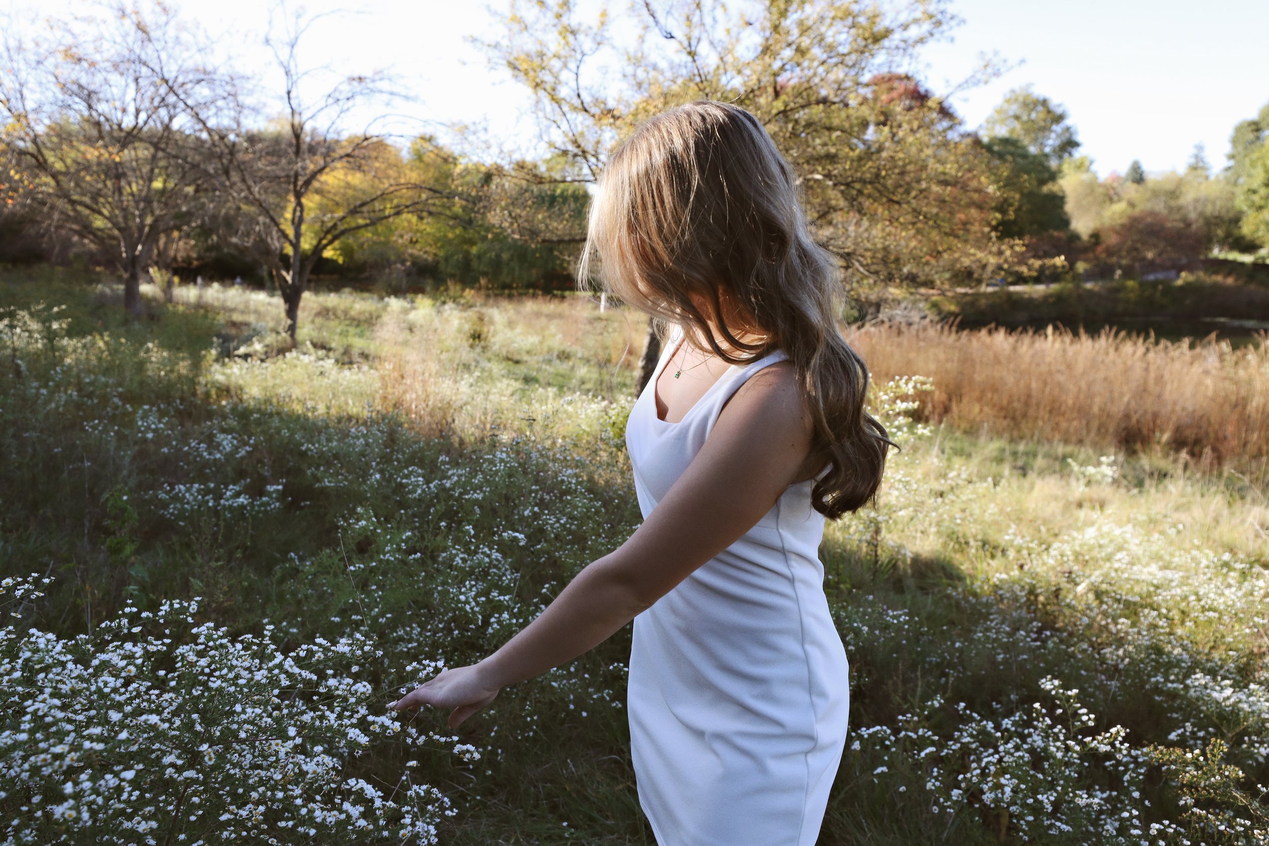 A woman in a white dress standing in a field of small white flowers, looking down and touching the flowers with her right hand, with trees and a pond in the background during autumn.