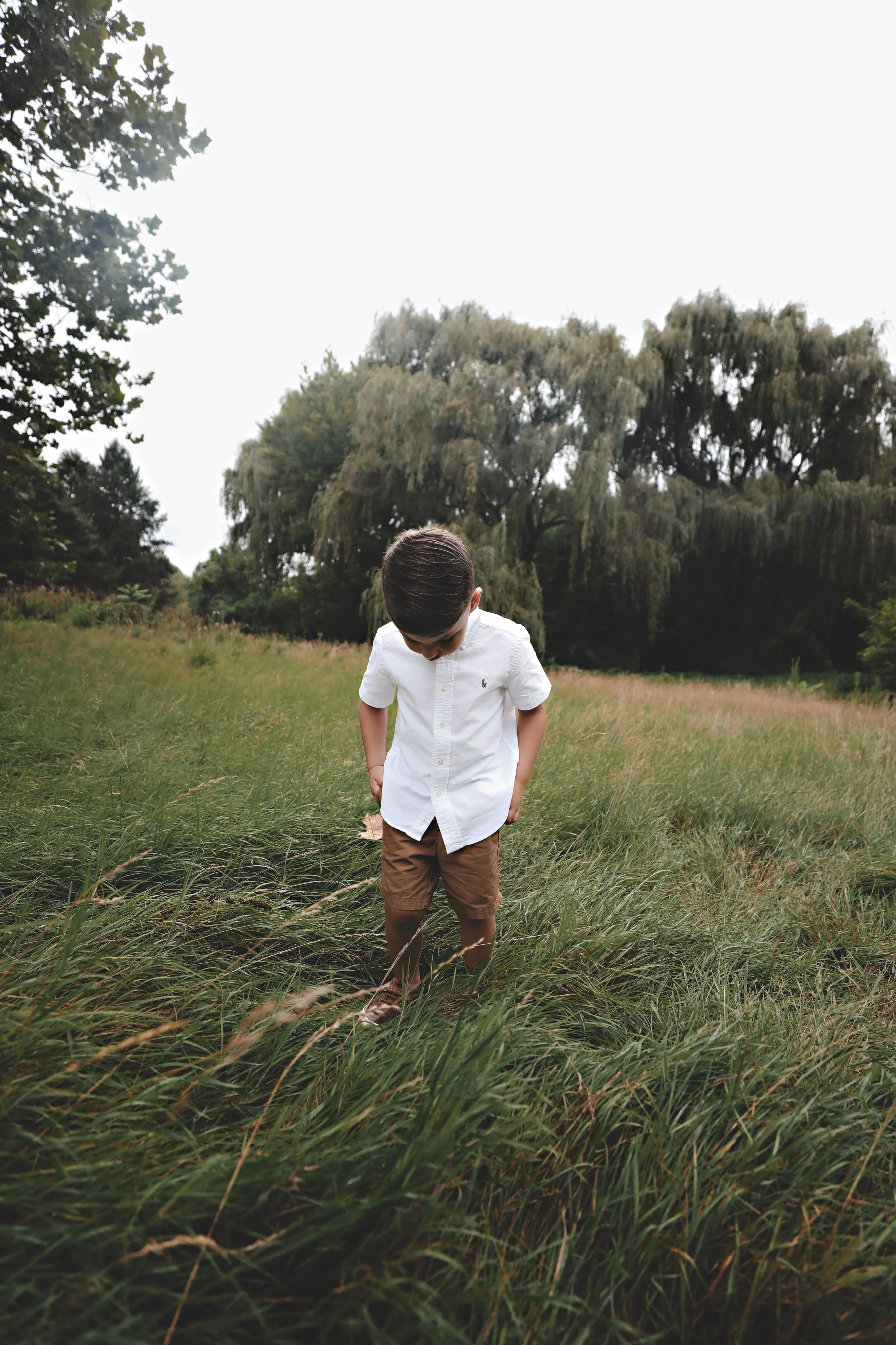 A young boy in a white button-up shirt and brown shorts standing in tall grass in a park with trees in the background.