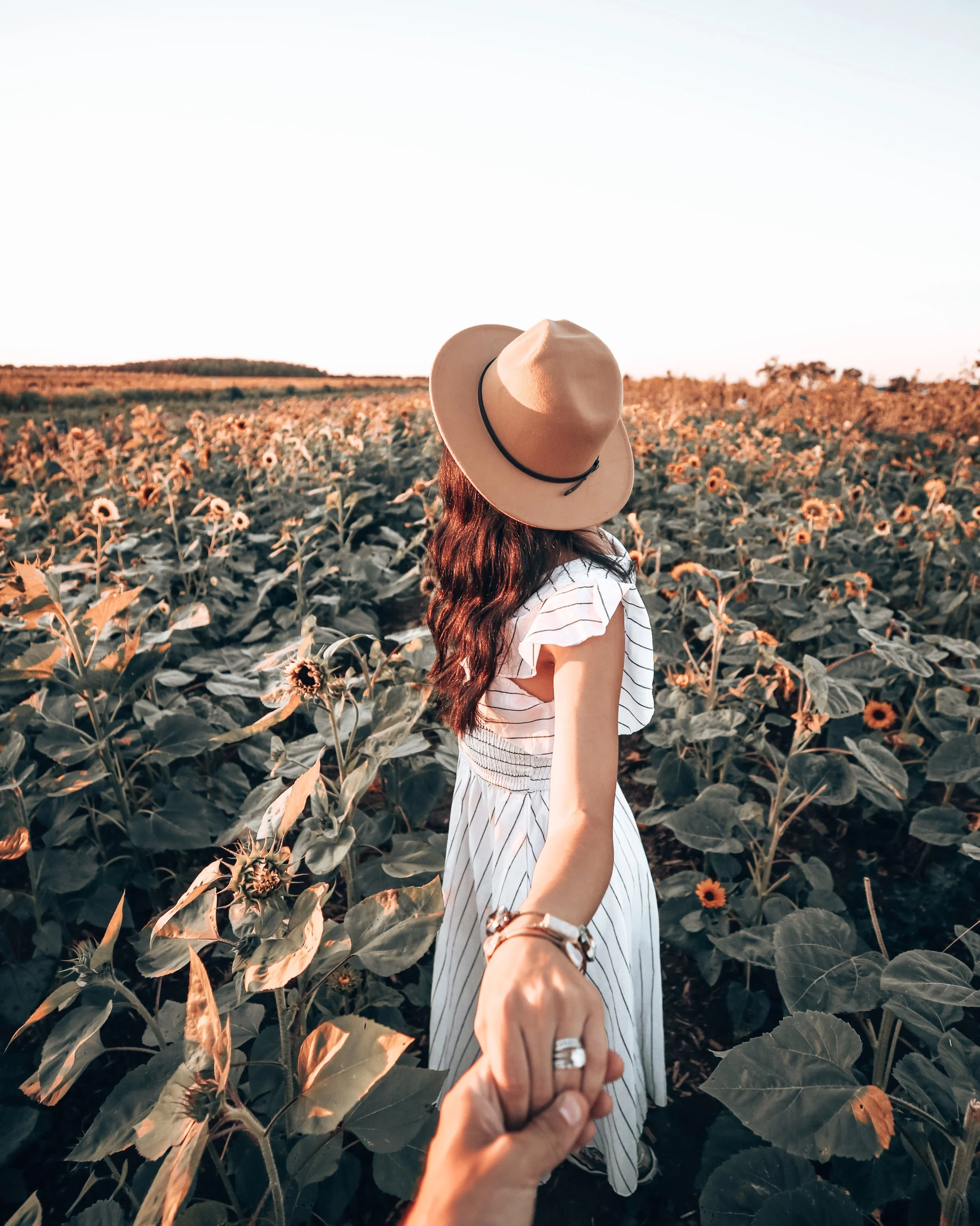 Woman in sunhat holding hand of photographer in sunflower field at sunset