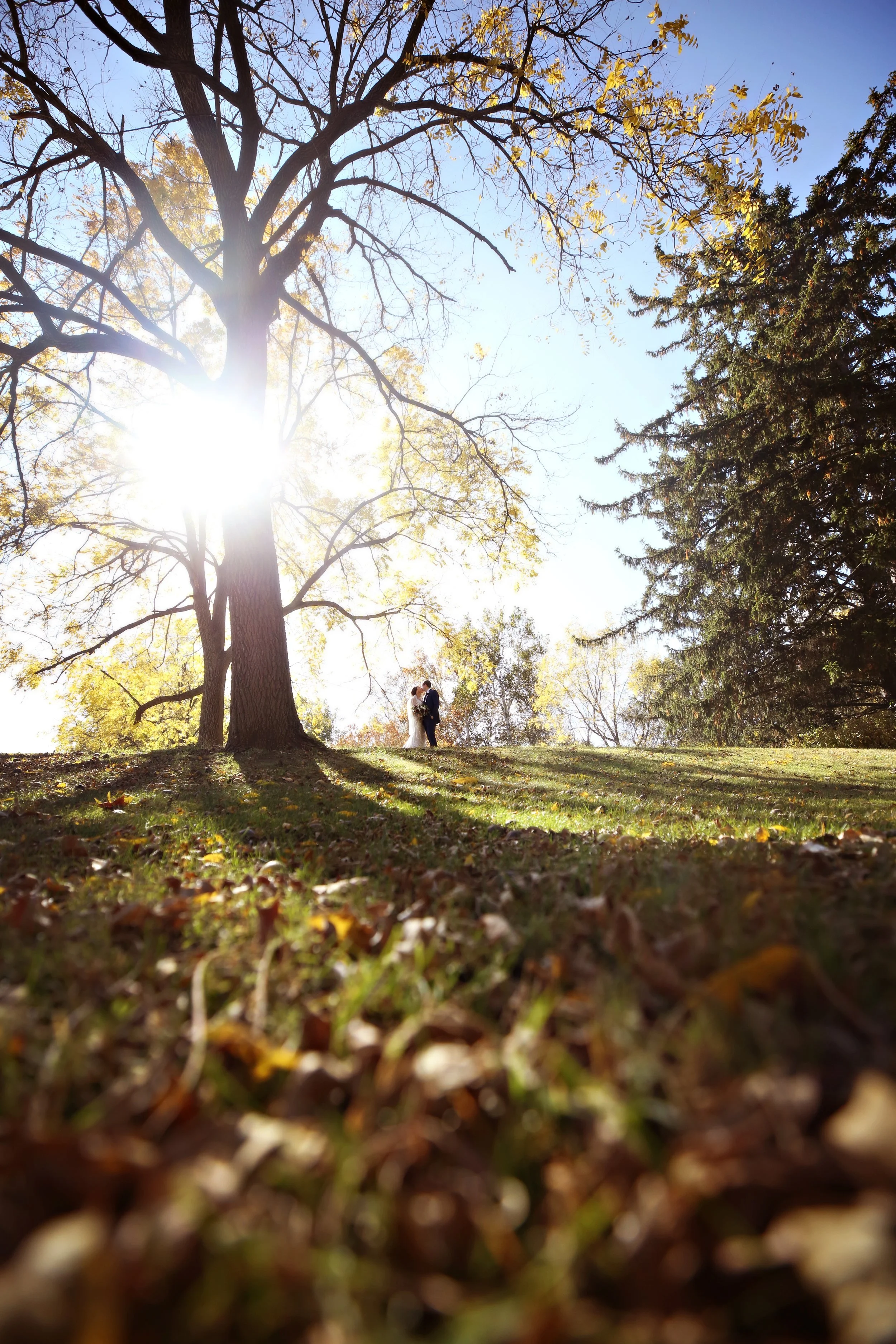A couple in wedding attire standing under a large tree on a grassy area with fallen leaves. The sun is shining through the tree branches, casting shadows on the ground. It's a bright, clear day in fall.