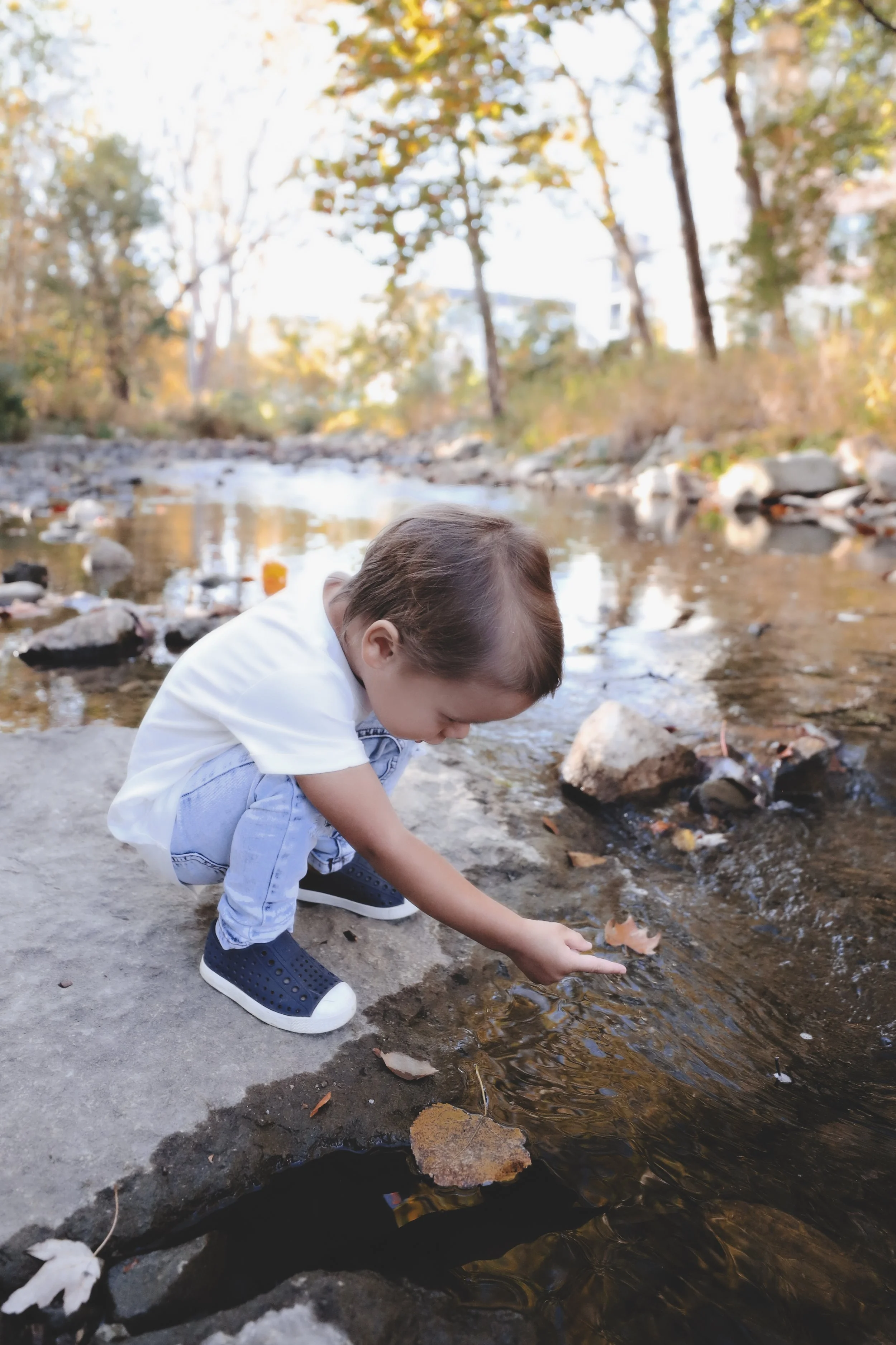 A young boy squatting on a rock by a creek, touching the water with his finger during autumn.
