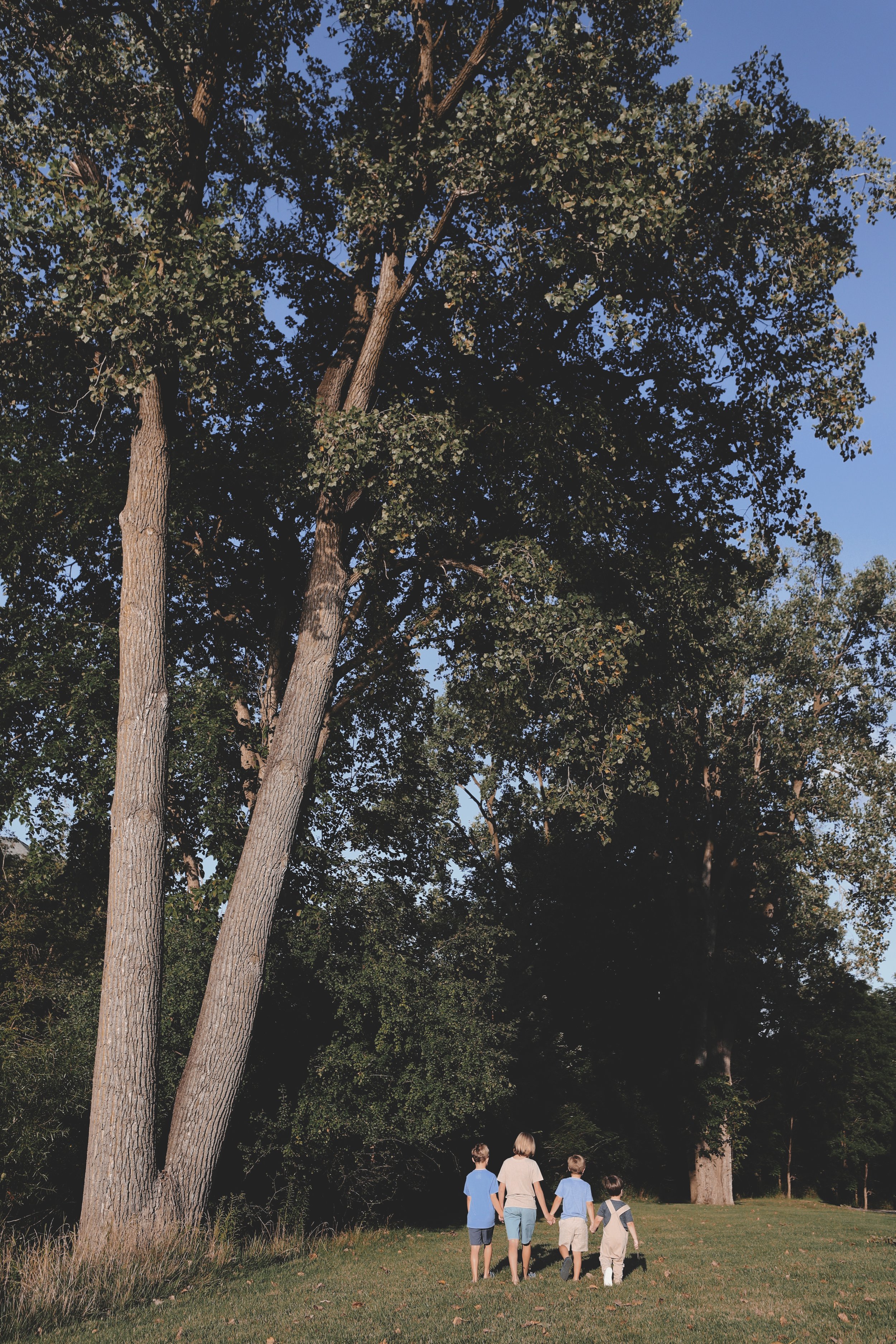 Four children walking hand-in-hand in a park with tall trees and a clear blue sky.