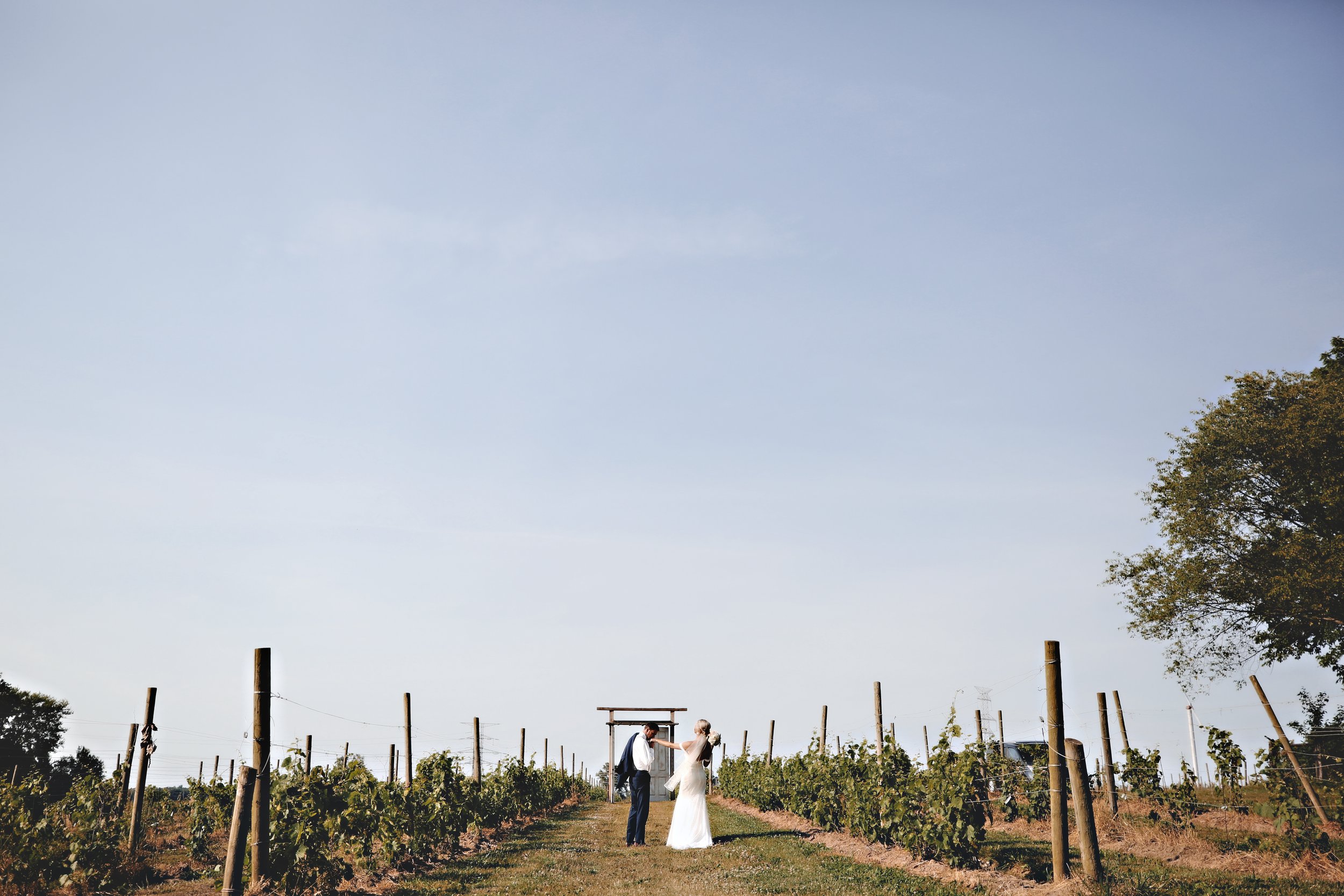 A bride and groom exchanging vows under a wooden arch in a vineyard on a clear day.