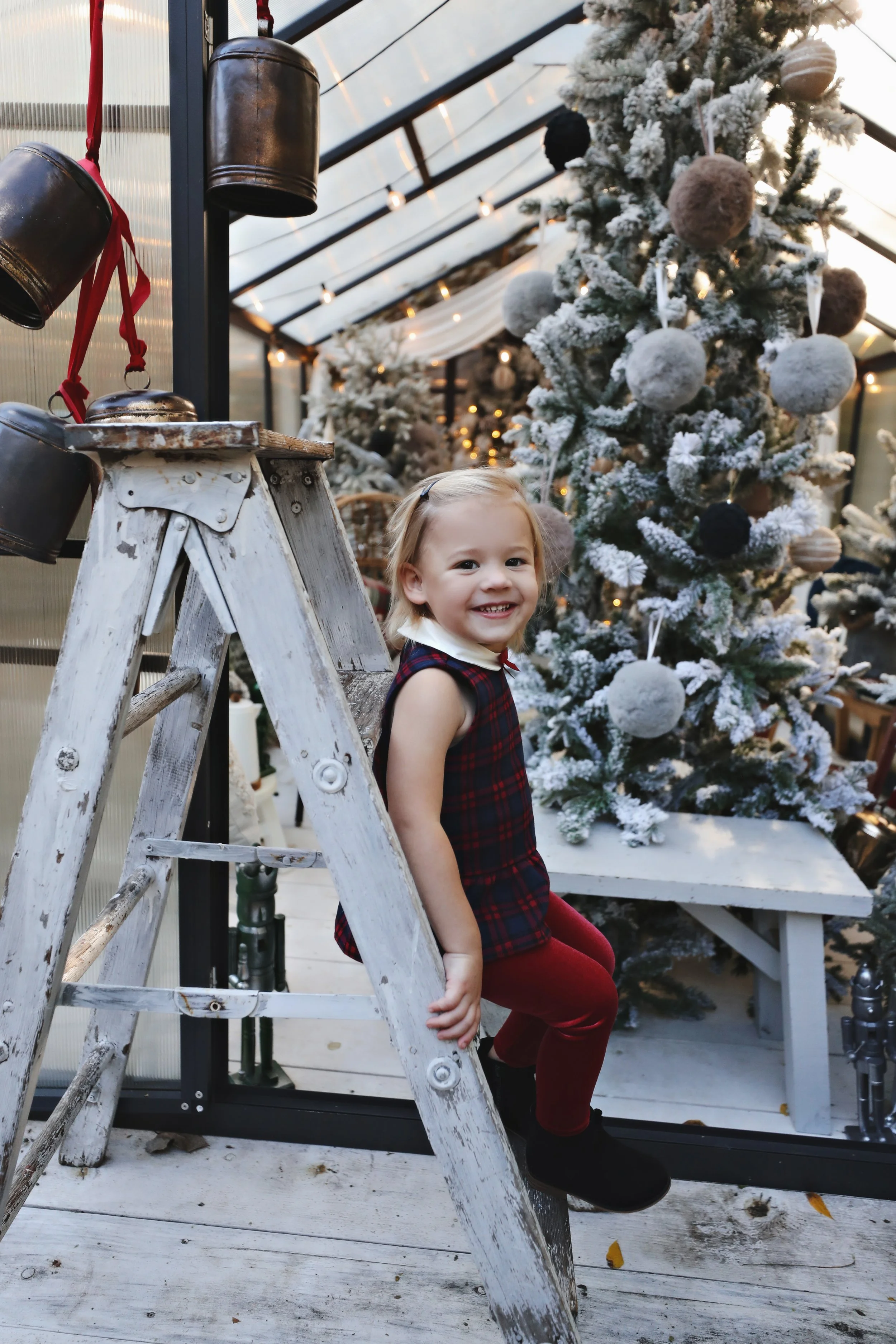 A young girl sitting on a ladder in front of a decorated Christmas tree inside a greenhouse or glass-enclosed space. The girl is smiling and wearing a red and black plaid dress with red leggings.