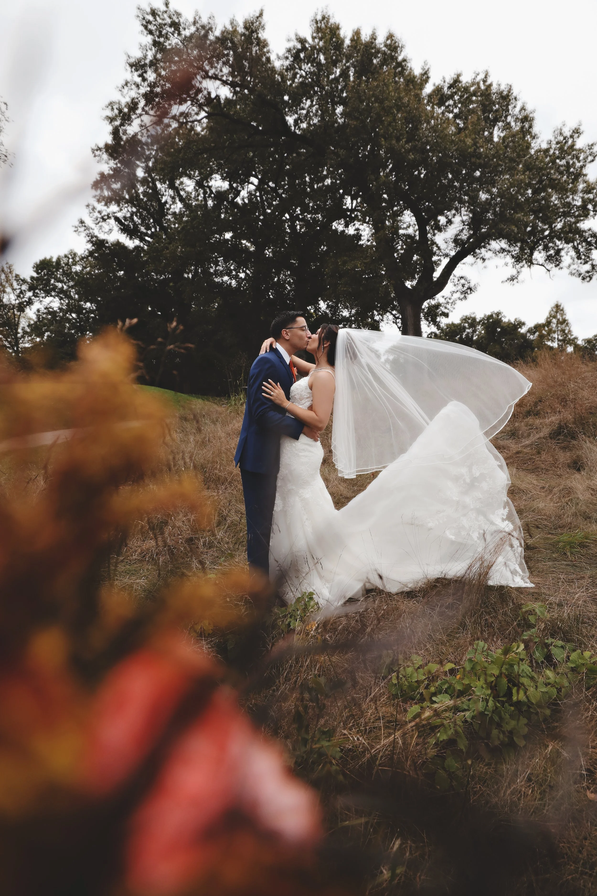 A bride and groom kiss outdoors on a grassy hillside with a large tree in the background, wedding attire, and a flowing veil.