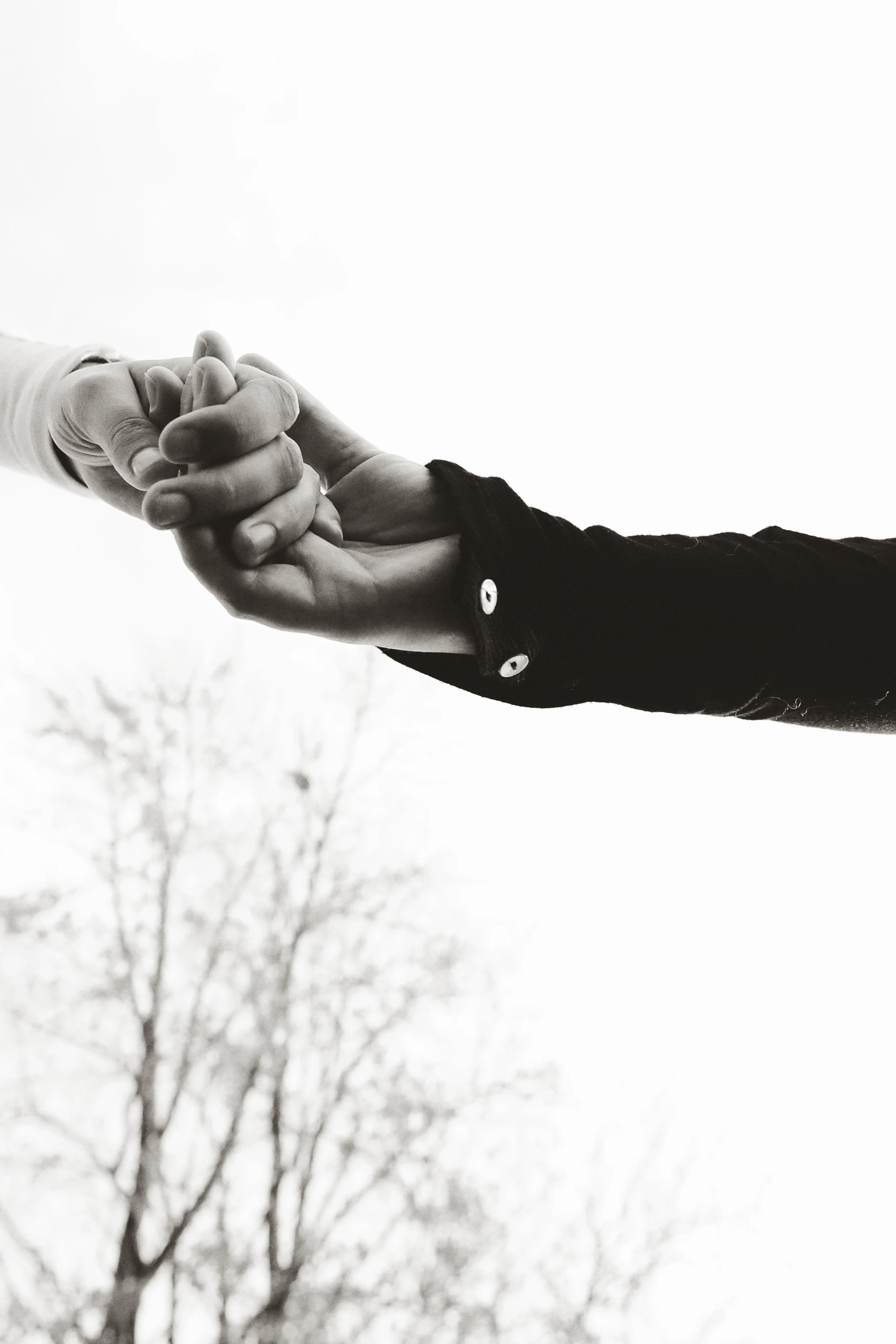 Two people holding hands, one in a white sleeve and the other in a black sleeve, outdoors with trees in the background.
